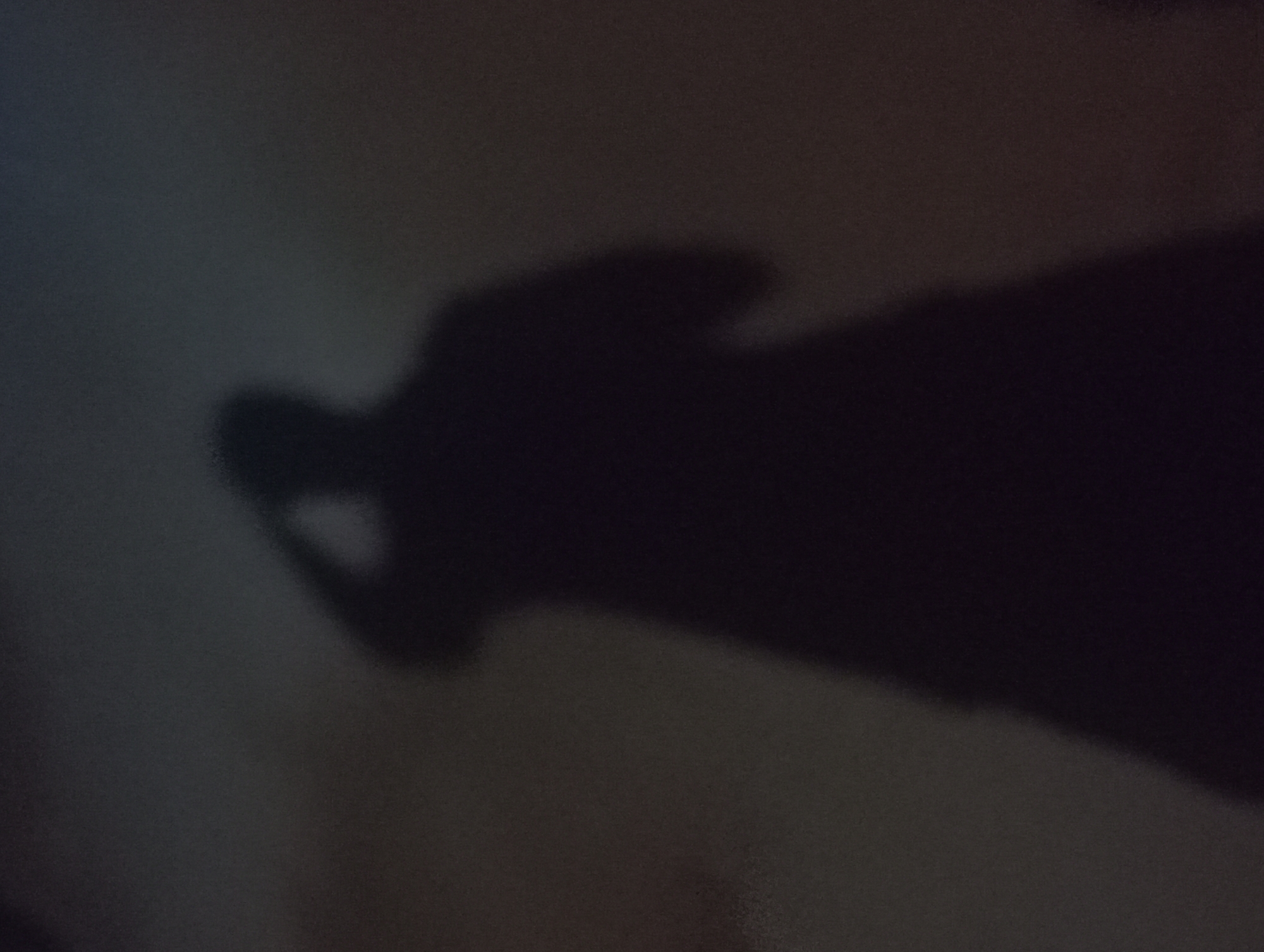 The image displays a dark, blurry shadow cast on a lighter, textured surface, likely a wall or ground, in Nkpor, Nigeria. The central subject is a distinct shadow of what appears to be a human hand and a portion of an arm, oriented diagonally from the upper right to the lower left of the frame. The hand shadow features a prominent, heart-shaped or circular opening on its left side, suggesting either a specific finger gesture or the hand holding a small, unidentifiable object. The individual casting the shadow is not visible within the frame.
The overall lighting is dim and diffused, indicating a nighttime setting or an indoor environment with low illumination. The image lacks specific location cues beyond the given context of Nkpor, Nigeria. There are no discernible weather conditions or any visible text. The soft focus and low light contribute to an abstract quality, emphasizing the silhouette and the subtle texture of the background surface. The activity depicted is simply the casting of this specific shadow.