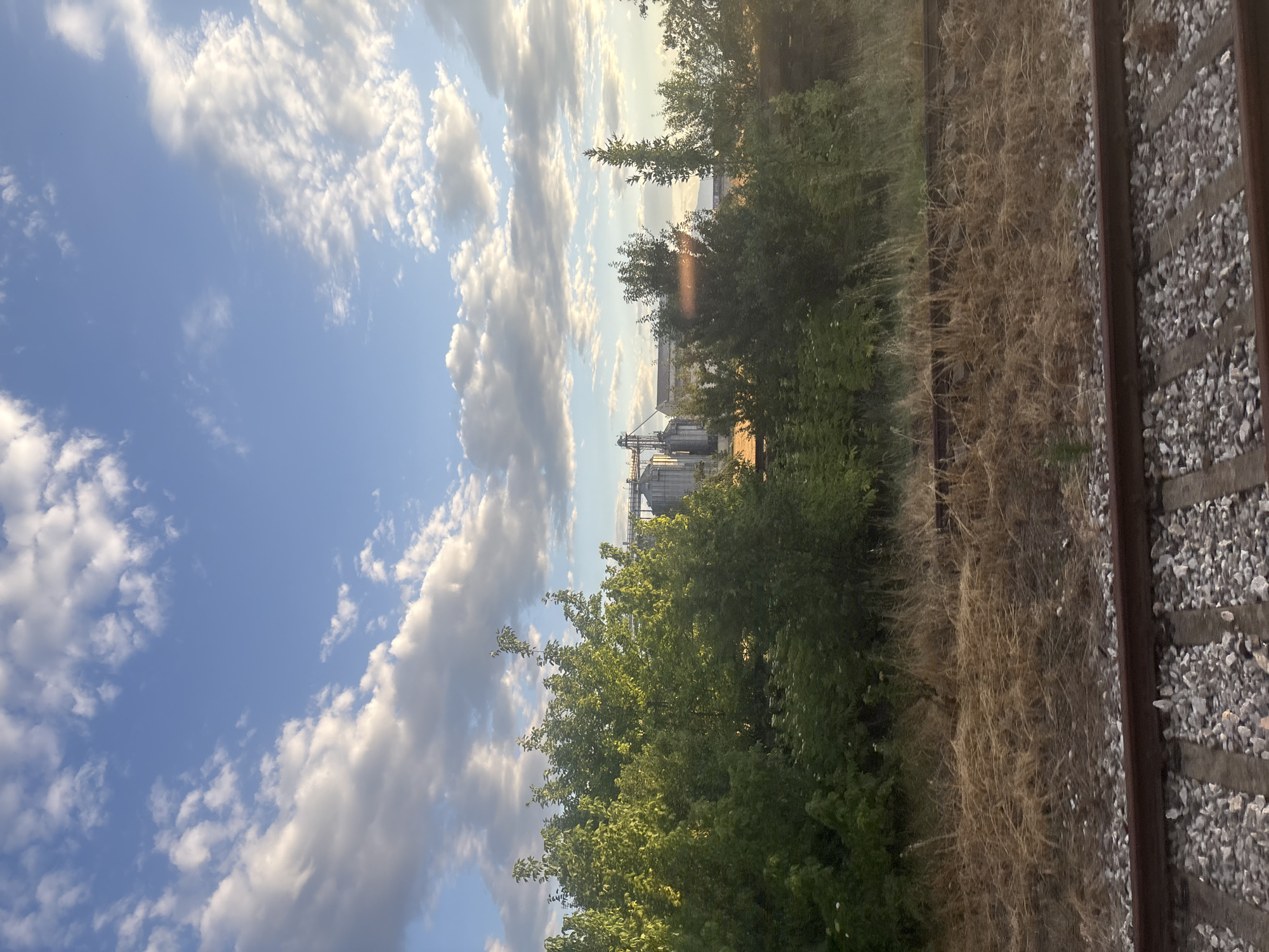 The image captures a rural landscape with a prominent industrial facility and a railway track in the foreground. The sky is a vibrant blue, dotted with fluffy white clouds, suggesting fair weather. Lush green trees form a dense line across the middle ground, partially obscuring the industrial complex behind them. This complex consists of several large, cylindrical silos, characteristic of grain storage or processing plants, and other associated structures. The foreground is dominated by a set of railway tracks, laid on a bed of gravel. Dry, straw-colored grass lines the area between the trees and the tracks. The overall impression is one of an industrial area adjacent to agricultural land, viewed from a train. The location is identified as Saedinenie, Bulgaria. There are no people visible in the image.