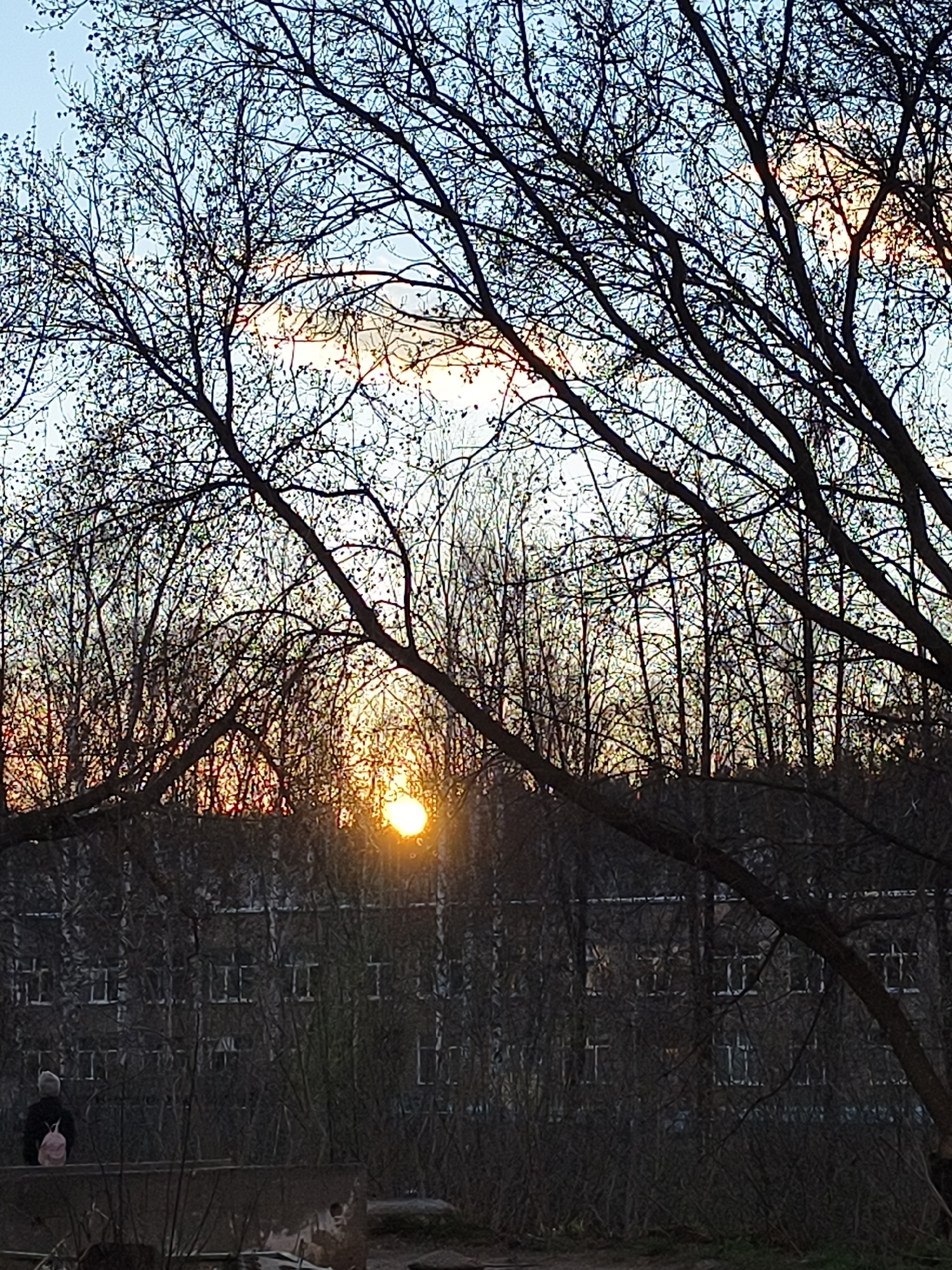 The image depicts an outdoor scene at either sunrise or sunset, characterized by strong backlighting that creates silhouettes. The dominant features are numerous deciduous trees with mostly bare, intricate branches, some showing early buds or small leaves, which are silhouetted against the bright sky.
The sky transitions from a light blue at the top to warmer orange and yellow tones near the horizon. A bright, radiant sun is prominently positioned in the middle-ground, partially obscured by tree branches and some atmospheric haze.
In the background, a large, dark, multi-story building with multiple rectangular windows is partially visible through the tree line. In the lower left quadrant, a single person is seen from behind, wearing dark clothing and a light-colored beanie or hat, and carrying a small pink backpack. They appear to be seated or standing on a low, rough concrete structure or barrier.
The overall lighting creates a serene and somewhat contemplative atmosphere. The bare branches suggest the time of year is late winter or early spring. There is no visible text in the image.