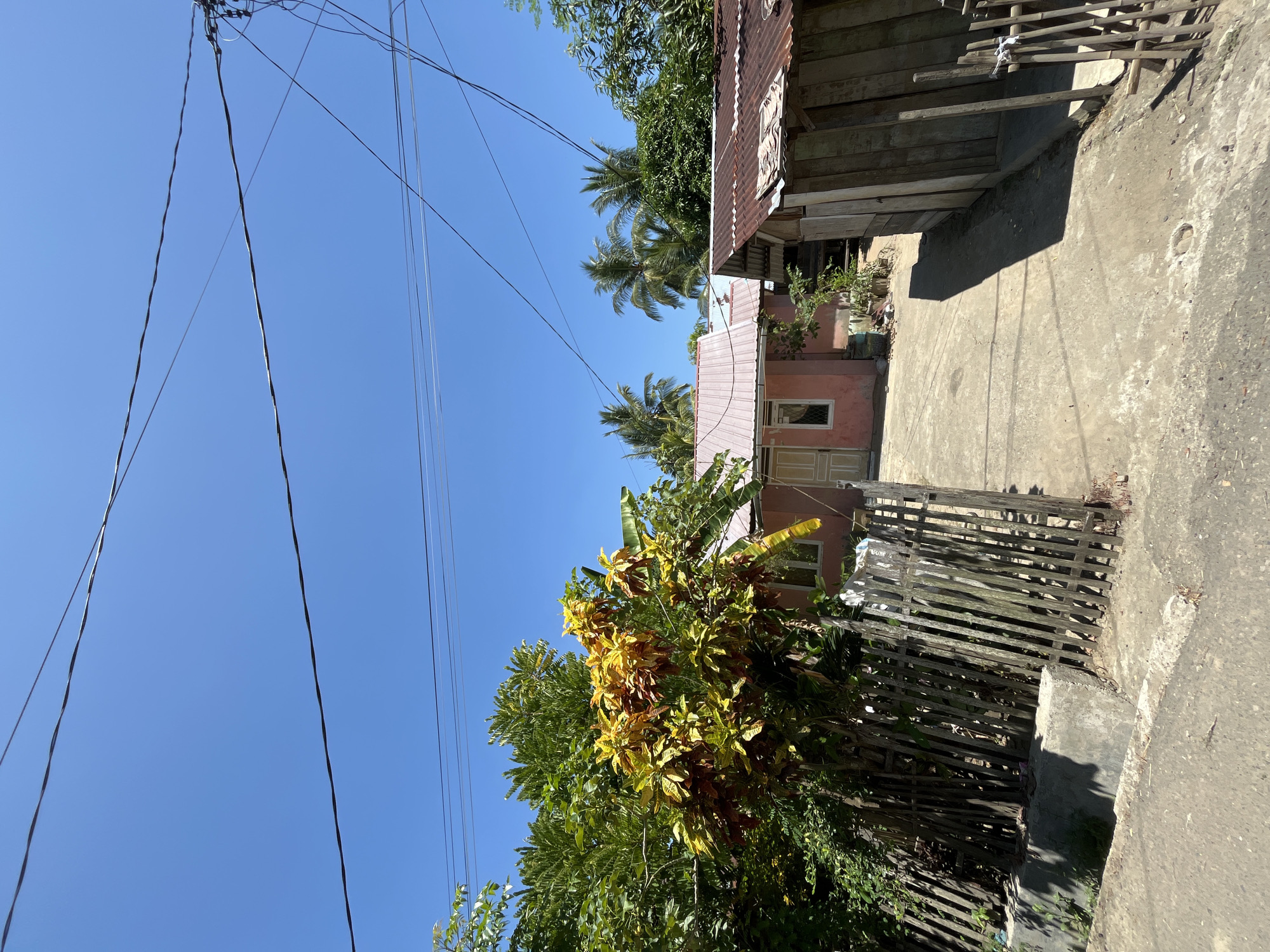 The image depicts a view of a residential area in Kruengmate, Indonesia. A pink house with a metal roof is visible in the center, with a concrete driveway leading up to it. To the right of the house is a rustic wooden structure with a corrugated metal roof. A wooden fence made of vertical planks lines the left side of the driveway, separating it from a lush green area with a colorful plant. Palm trees are scattered throughout the background, suggesting a tropical climate. Overhead, power lines are strung across the bright blue sky. The scene appears to be a sunny day, with shadows cast on the driveway.