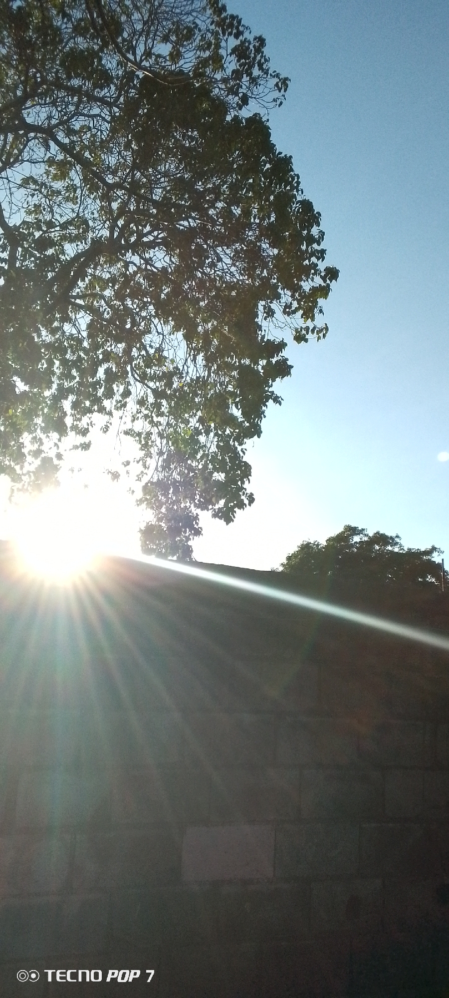 The image captures a bright sunny day in Altagracia, Venezuela. A tree with green leaves occupies the upper left portion of the frame, filtering the sunlight. The sun is visible, with intense rays shining down. Below the tree, a portion of a brick wall is seen, obscuring much of the lower part of the image in shadow. The sky is clear and blue. The words "TECNO POP 7" are printed in the lower left corner.