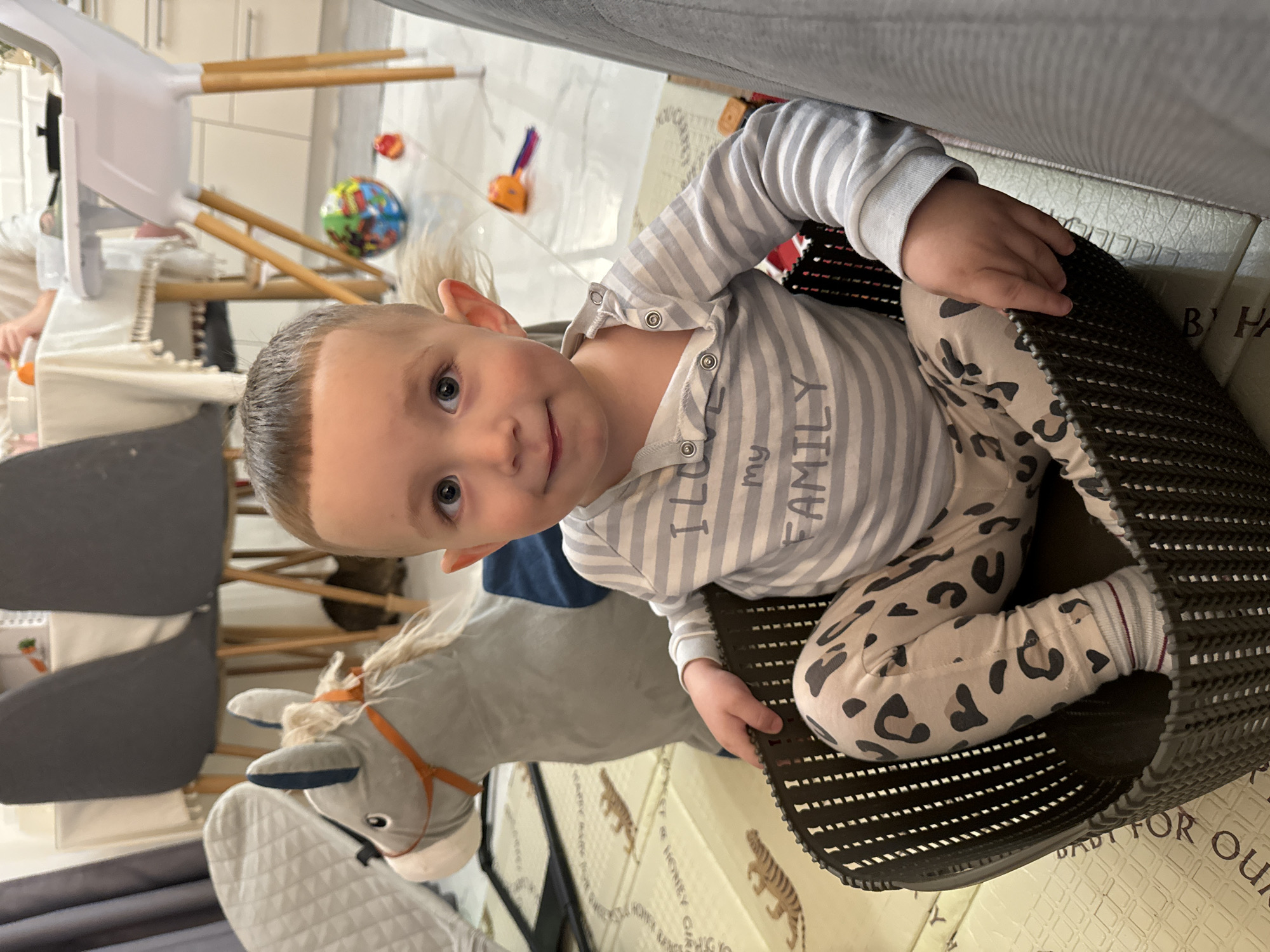 This indoor image features a young child, likely a toddler, looking directly at the camera with a slight smile. The child has light hair and blue eyes. They are wearing a grey and white striped long-sleeve top with snap buttons, which reads "I LOVE MY FAMILY." Their lower half is clad in light-colored leggings with a black and brown leopard print, and striped socks (grey, white, and maroon).
The child is situated in a dark brown or black woven basket or container, with one hand resting on its rim. The setting appears to be a home in Akulovo (Gp Kubinka), Russia, likely a living room or play area. To the child's left and slightly behind, a grey stuffed rocking horse or donkey with an orange bridle and white mane is visible. The floor is covered by a light-colored playmat adorned with tiger illustrations and partial text, including "SWEET & HONEY GIRL" and "DAD FOR OUR."
In the background, a white high chair with wooden legs is seen near a table draped with a white tablecloth. Other toys, such as a colorful globe-like ball and an orange and yellow toy, are scattered on the floor. A grey sofa is partially visible in the immediate foreground. The image captures a cheerful moment, with the child appearing happy and engaged. The lighting suggests it is daytime.