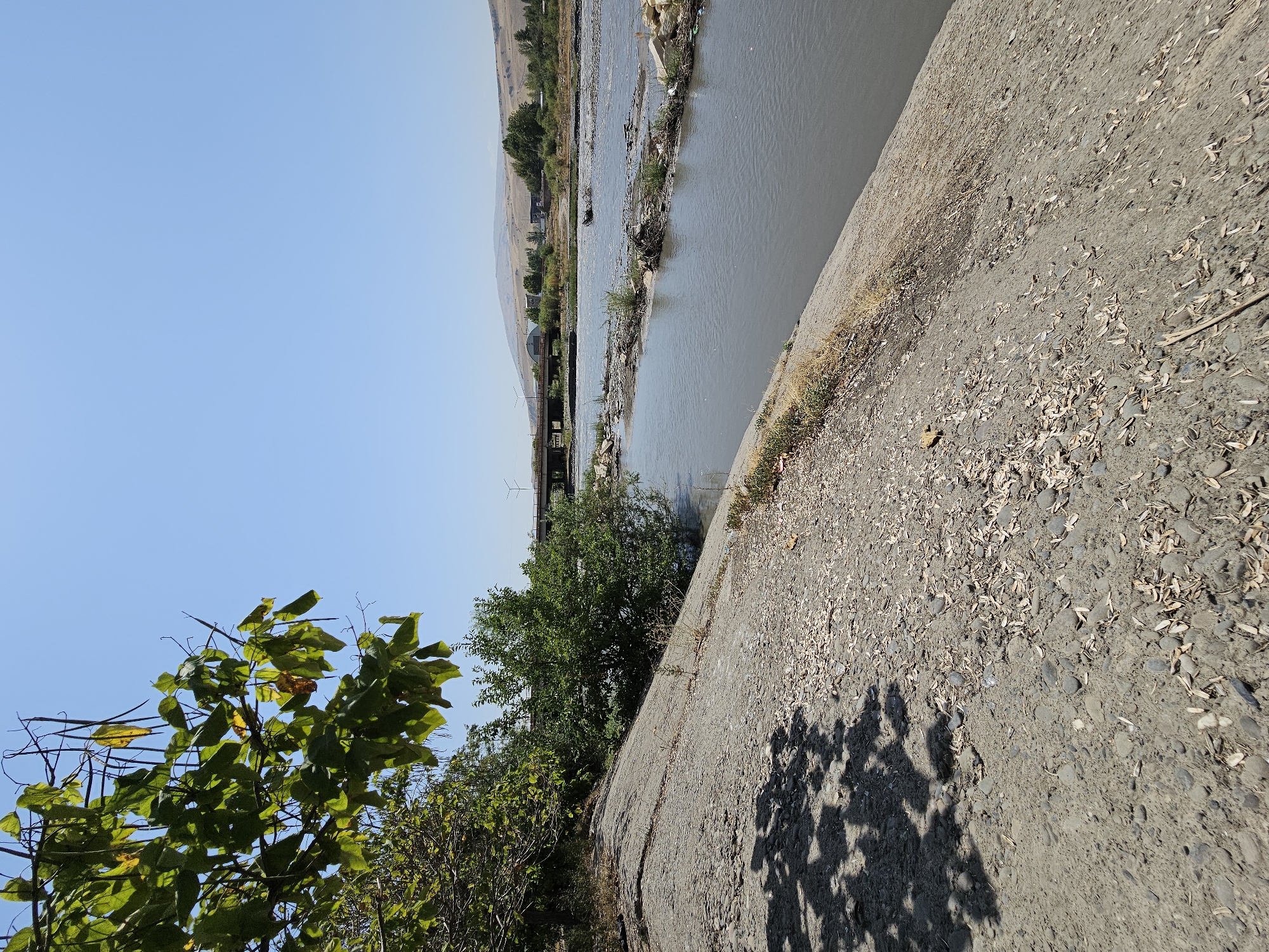 The image depicts a wide, shallow river under a clear blue sky. On the left bank of the river, there is a concrete embankment covered with scattered leaves and small stones. Lush green trees with dark green leaves are growing on this embankment and also on the opposite bank. The river water is murky, and debris, including plastic bottles and branches, is visible floating on the surface and accumulated along the banks. In the distance, a bridge spans the river, with some buildings and hills visible beyond it. The overall scene suggests an outdoor, natural environment possibly within or near a settlement.