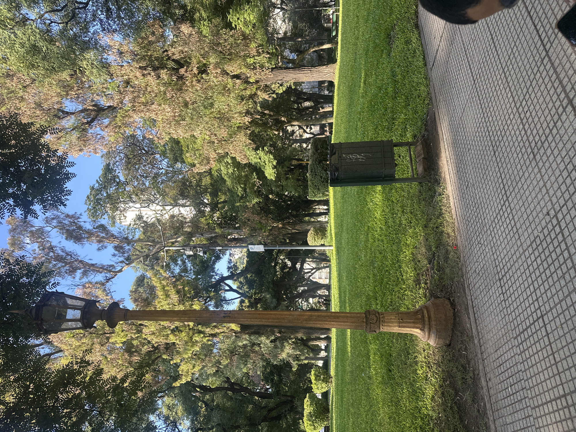 The image shows a park scene in Buenos Aires, Argentina. A vintage-style street lamp stands on a grassy area adjacent to a tiled sidewalk. The grass is lush green, and trees with green and yellow leaves provide shade. A green trash bin is visible in the background. The sky is blue and partly obscured by the foliage. The perspective is slightly tilted, with the sidewalk and grass appearing to be at an angle. A portion of a person is visible in the upper right corner of the frame.
