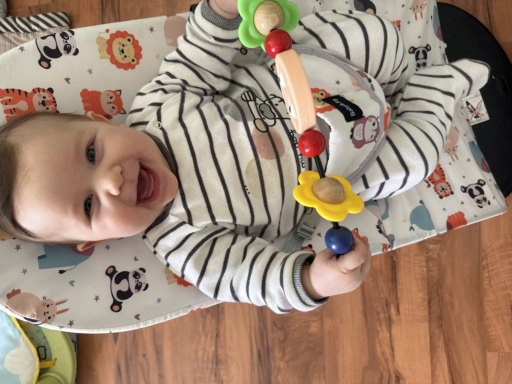 A baby wearing a striped outfit is lying on a white and animal-patterned bouncer chair on a wooden floor. The baby is smiling and holding a colorful toy. The location is not identifiable from the image as being in Chaikovsky, Russia, or any other specific location.