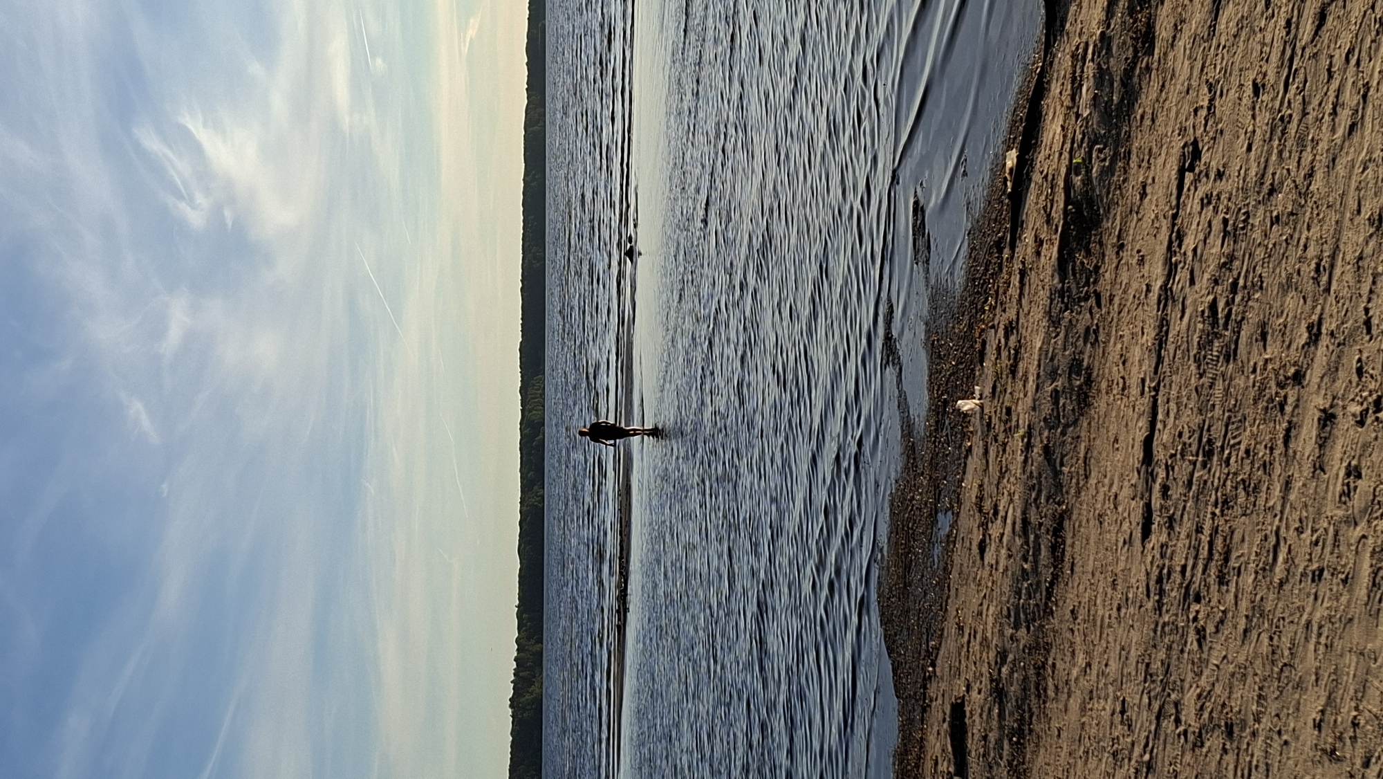 A lone figure walks into a body of water that appears to be a shallow bay or large lake. The person is silhouetted against the sun, which is low in the sky, casting a warm light. The water is calm, with gentle ripples, and there are sandbars visible beneath the surface. The background consists of a dark, tree-lined horizon and a sky with wispy clouds and contrails from airplanes. The foreground shows a sandy shore with some debris.