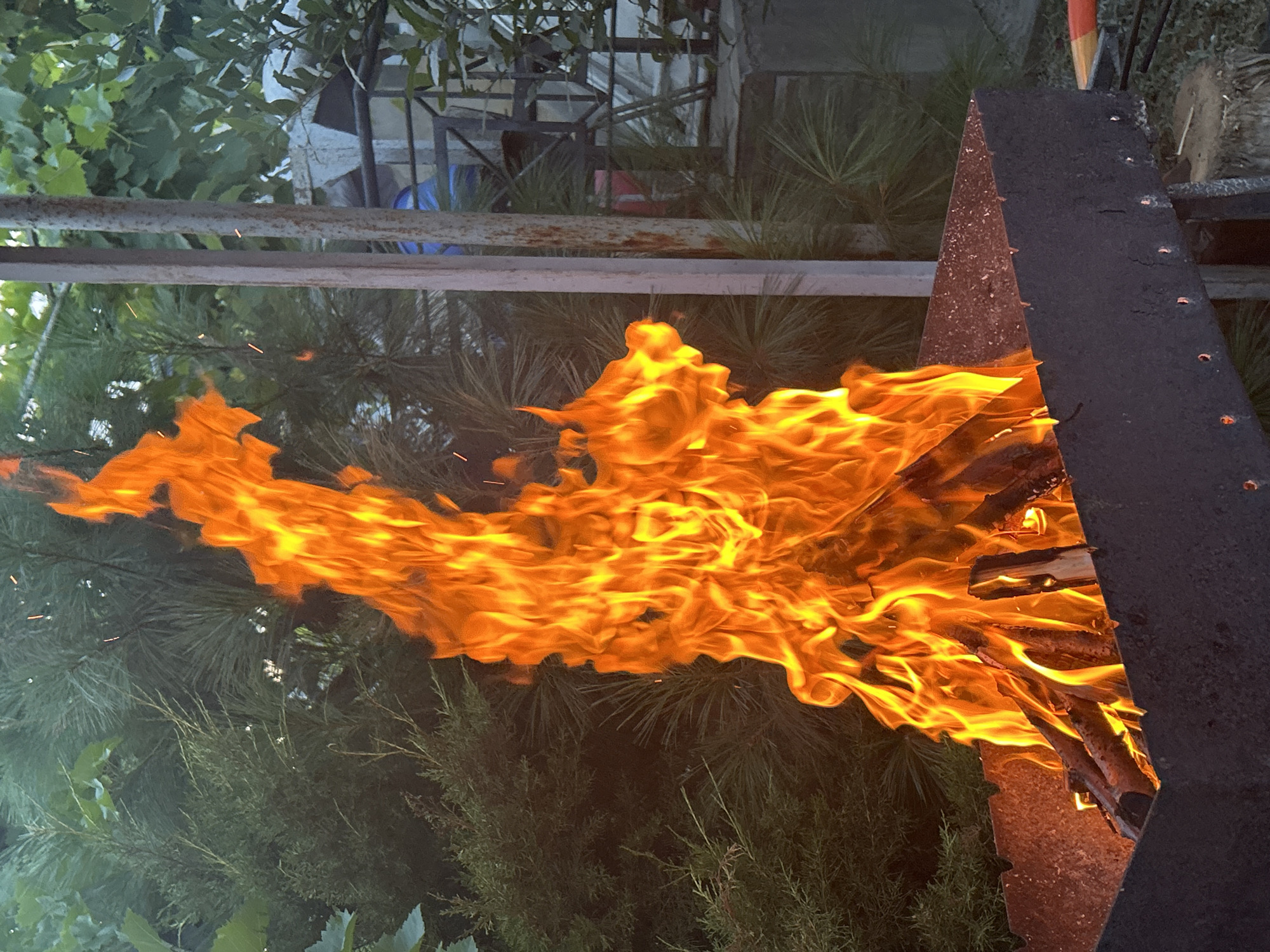 An outdoor scene features a brazier filled with burning logs. The flames are tall and a vibrant orange, with smaller sparks visible in the air. The brazier is made of dark metal and sits outdoors amongst green foliage, including pine-like trees and leafy plants. In the background, there is a metal structure and a partially visible concrete wall. The lighting suggests it is either dusk or an overcast day.