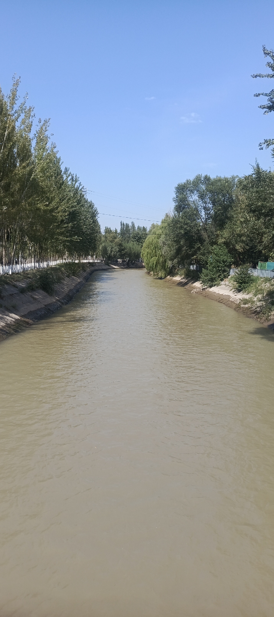 The image shows a wide, murky brown river flowing through a city. The riverbanks are lined with concrete retaining walls and then sloped earthen banks. On the left bank, a row of tall, slender trees with dense green foliage stands along the bank. On the right bank, a mix of trees, including some with weeping branches, and some greenery are visible. The sky is a clear, bright blue with a few wispy clouds. The scene appears to be taken from a bridge or elevated vantage point looking down the length of the river. There are no visible people or specific structures in the immediate foreground or on the banks. The overall impression is a natural waterway integrated into an urban or semi-urban environment.