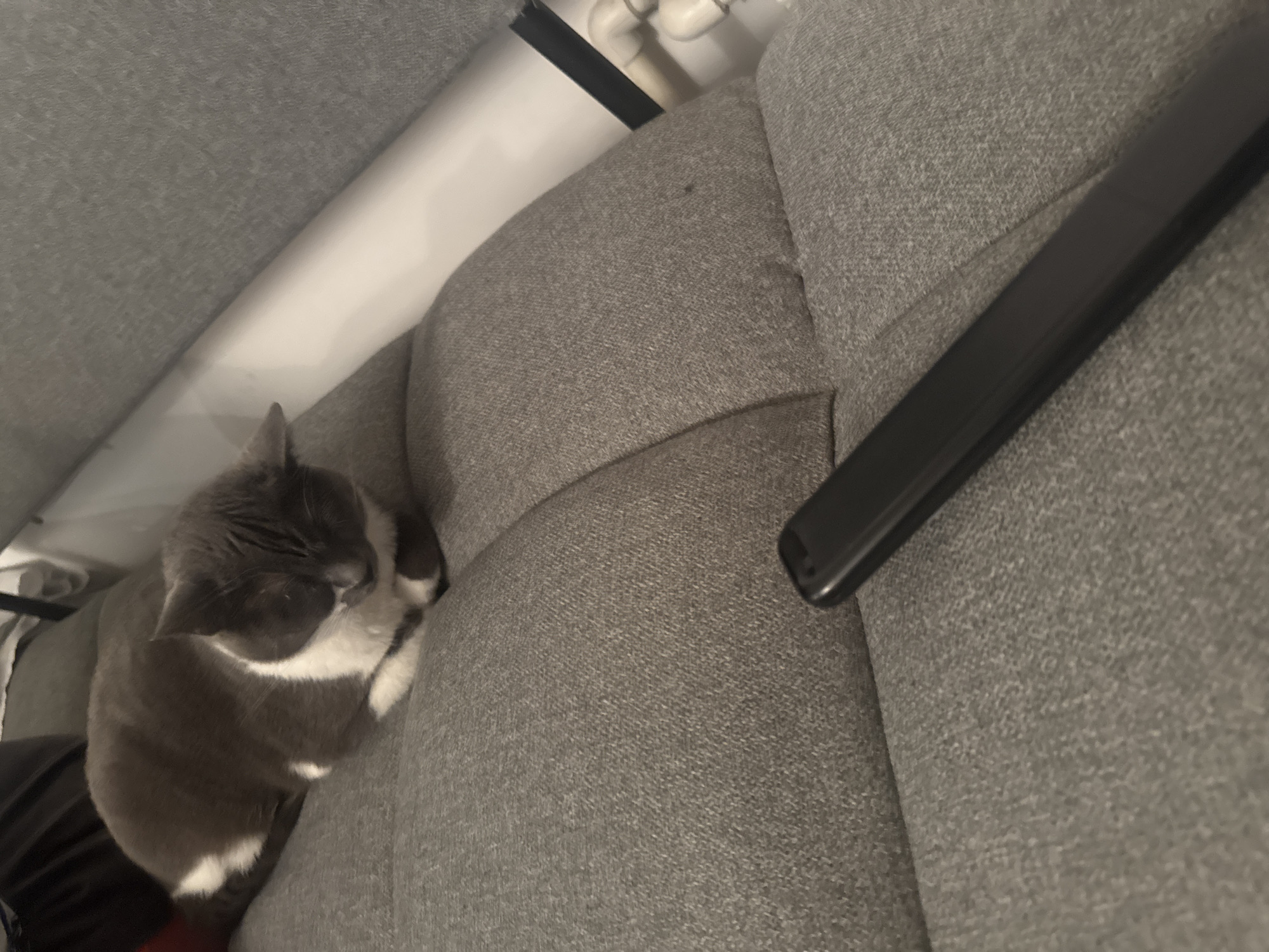 A gray and white cat is sleeping on a gray textured surface, likely a couch or chair. In the foreground, a black rectangular object, possibly a remote control, is positioned on the surface. The background shows a white wall and some piping.