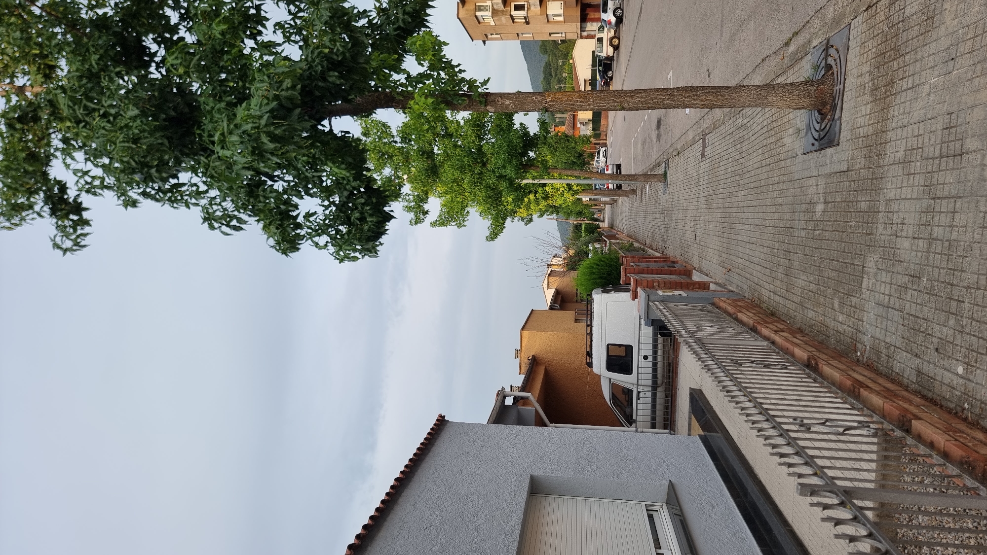 The image captures a street scene in Sant Joan Les Fonts, Spain, likely during overcast weather given the muted sky. The viewpoint is from a sidewalk, looking down a residential street lined with trees and houses.
On the left, a light gray house with a tiled roof and a white rolling shutter covers a window is prominent. Adjacent to it is a brick and metal fence. Beyond the fence, a white van is parked.
The sidewalk is paved with square gray tiles and is bordered by a low brick wall and a metal fence. Several trees with green foliage are planted along the sidewalk, creating a natural canopy over parts of the path.
Across the street, more houses and apartment buildings are visible. These range in color from orange to beige and cream. Various cars are parked along the roadside, including a black car, a white car, and a silver car. The street itself is paved and appears to be in good condition. In the background, a mountain range is visible under the cloudy sky.