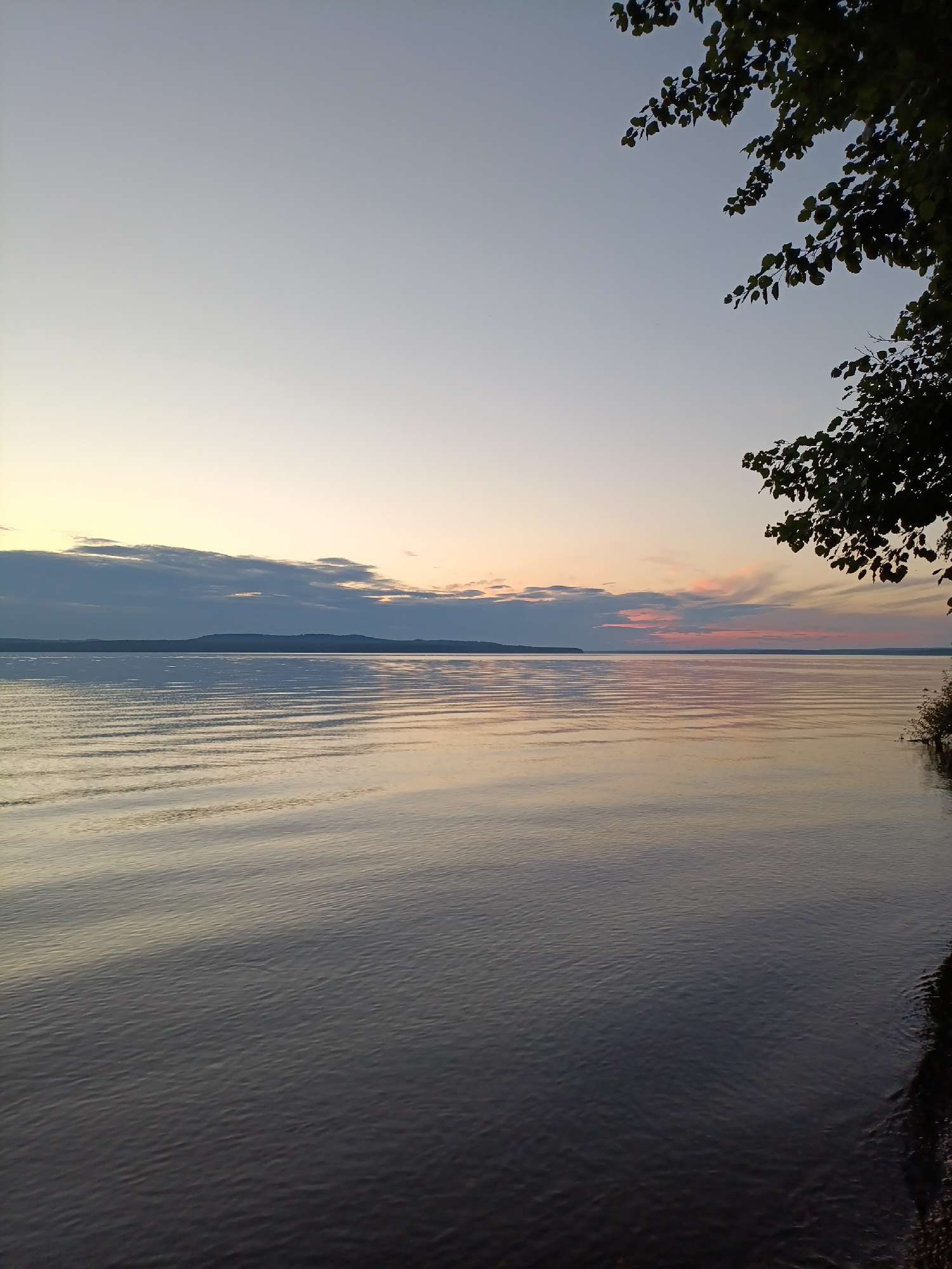 A wide shot captures a serene lake at dusk in the city of Gory, Russia. The sky transitions from a pale, clear blue at the top to soft hues of yellow and pink near the horizon, where a band of muted clouds is visible. The water, a deep, reflective gray, is marked by gentle ripples that catch the fading light, creating a shimmering effect. In the distance, a low, dark landmass, likely a forested island or the opposite shore, is silhouetted against the colorful sky. The right edge of the frame is partially obscured by the dark, leafy branches of a tree, its silhouette stark against the twilight sky. The scene is tranquil and devoid of human presence, emphasizing the natural beauty of the landscape.