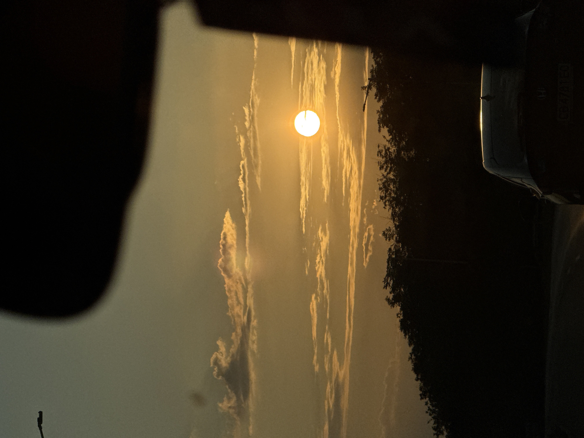 The image depicts a sunset in Veliko Tarnovo, Bulgaria. The sun, a bright orb, is setting in a sky filled with wispy, golden clouds, creating a warm and serene atmosphere. Tall, dark trees line the right side of the frame, their silhouettes stark against the vibrant sky. In the foreground, a dark, blurry shape, possibly part of a vehicle or a structure, partially obscures the view. On the far right, a section of a car is visible, with a license plate bearing the text "CZ 710 TED". The overall scene suggests a peaceful evening, with the natural beauty of the sunset dominating the frame. The lighting indicates it is late afternoon or early evening, and the clear sky, apart from the clouds, suggests fair weather.