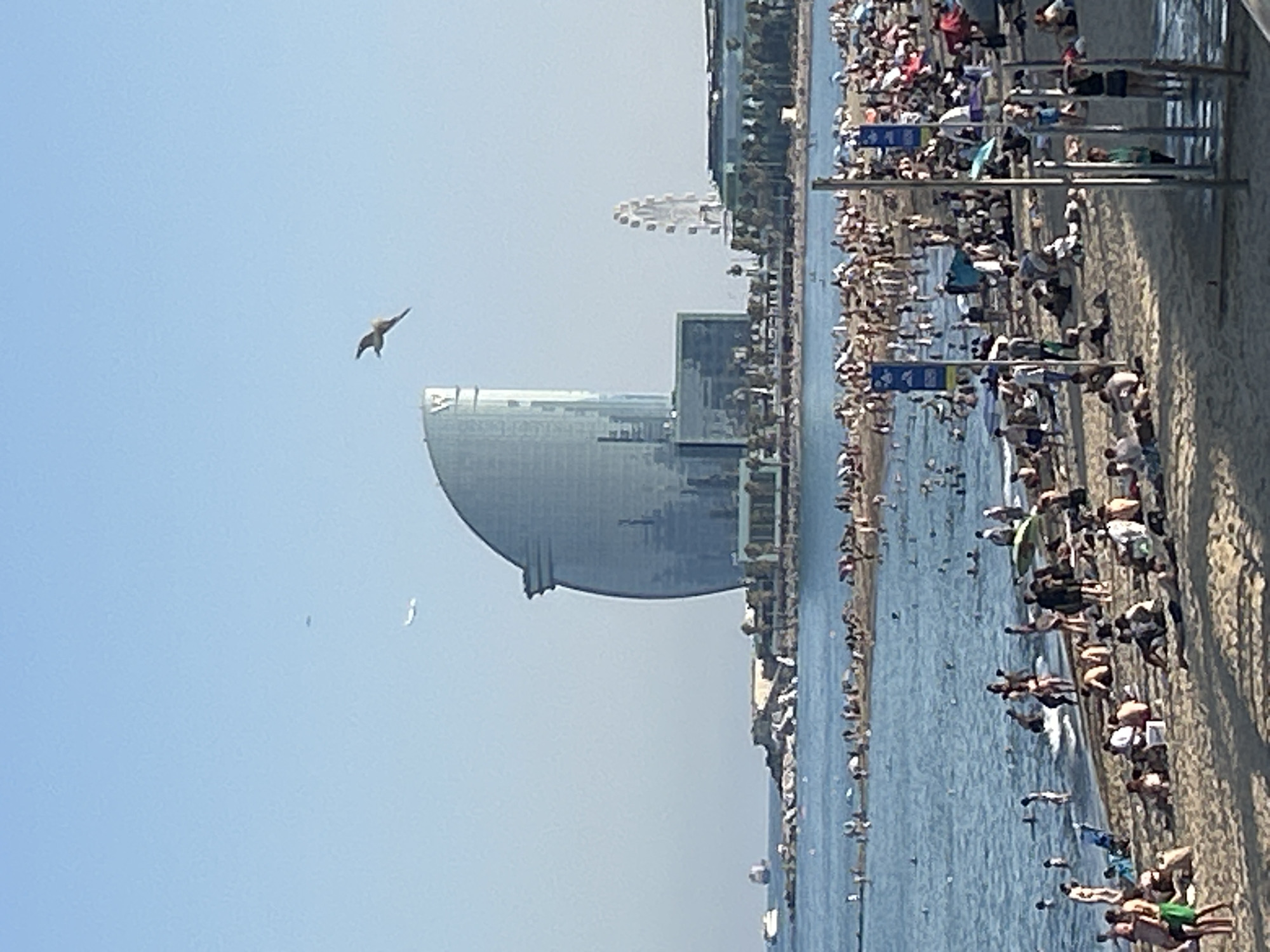 This is a photograph taken from a slightly elevated perspective, looking down on a crowded beach and the adjacent ocean. The scene appears to be set in Barcelona, Spain, indicated by the distinctive architecture of the Hotel W, a sail-shaped building, visible on the left side of the image. The sky is a clear, pale blue, suggesting a sunny day. A bird is captured mid-flight in the upper left quadrant of the image.
The beach is densely populated with people sunbathing, relaxing, and enjoying the water. Many individuals are lying on towels or in beach chairs, while others are wading or swimming in the ocean. The water is a deep blue and appears calm. There are also some structures and barriers visible along the edge of the beach, possibly indicating walkways or designated areas. A Ferris wheel can be seen in the distance, hinting at a nearby amusement area or park.
The overall atmosphere is one of leisure and recreation, typical of a popular beach destination during warm weather. The time of day seems to be midday or early afternoon, given the bright sunlight casting shadows. There are no visible text elements in the image.