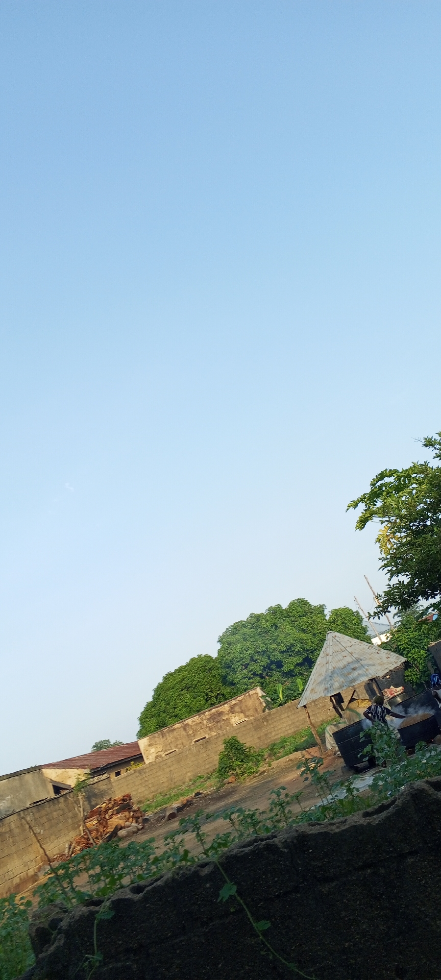 The image depicts an outdoor scene in Jalingo, Nigeria, characterized by a clear sky and a subtly sloping terrain. In the foreground, dark, rough-textured blocks form a barrier, with sparse green vegetation growing around them. Beyond this, a wall constructed of concrete blocks stretches horizontally across the midground, supporting a slightly elevated area.
Further into the scene, a building with a weathered, light-colored exterior and a rusty metal roof is visible, with portions of its brickwork exposed. Adjacent to this building, a cluster of green trees with dense foliage dominates the upper right and central areas of the image. In the lower right quadrant, a small, rustic structure with a conical metal roof stands. Beneath this shelter, two dark, large cylindrical containers are present, and a person wearing a striped shirt and dark pants is standing near them, facing away from the camera. The ground in this area appears to be a dirt or earth surface, with scattered green plants. To the left of these containers, a pile of reddish-brown wooden logs is stacked against the concrete block wall. The overall impression is of a somewhat rural or semi-developed area within the city.
