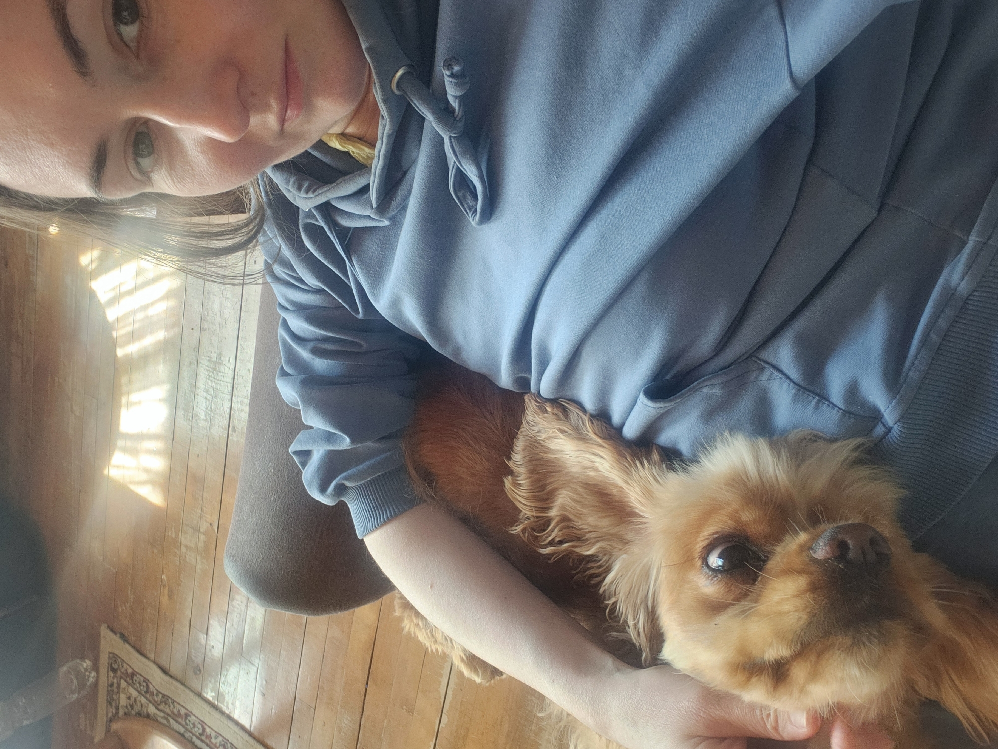A woman is holding a Cavalier King Charles Spaniel dog on her lap. The woman has fair skin, light brown hair, and is wearing a blue hooded sweatshirt. The dog is brown with long, floppy ears. They are sitting indoors on a wooden floor. A small rug is partially visible in the lower left corner. The setting appears to be a home, but the location in Архангельское, Russia cannot be confirmed from the image.