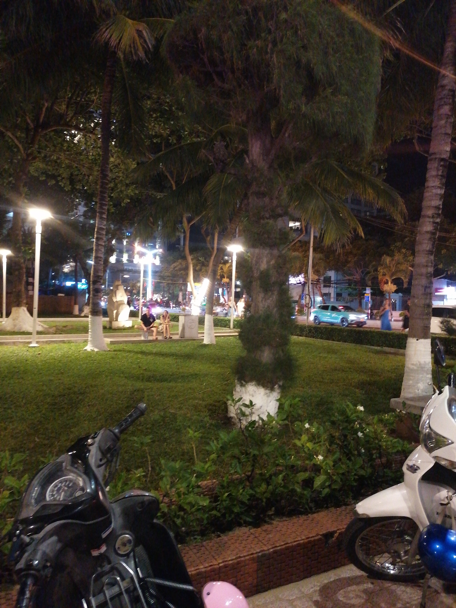 The image depicts a nighttime scene in what appears to be a park or public space, presumably in Nha Trang Ward, Vietnam, given the question's setting. The foreground features two parked motorbikes, one black and one white, with a pink helmet near the black one and a blue helmet near the white one. Between the motorbikes is a row of low bushes with small white flowers. The background shows a grassy area with several tall palm trees that have been whitewashed at the base, illuminated by streetlights. Further back, there are a few people sitting on benches. A blue car is visible on the street beyond the park. Buildings and other streetlights suggest an urban environment.
