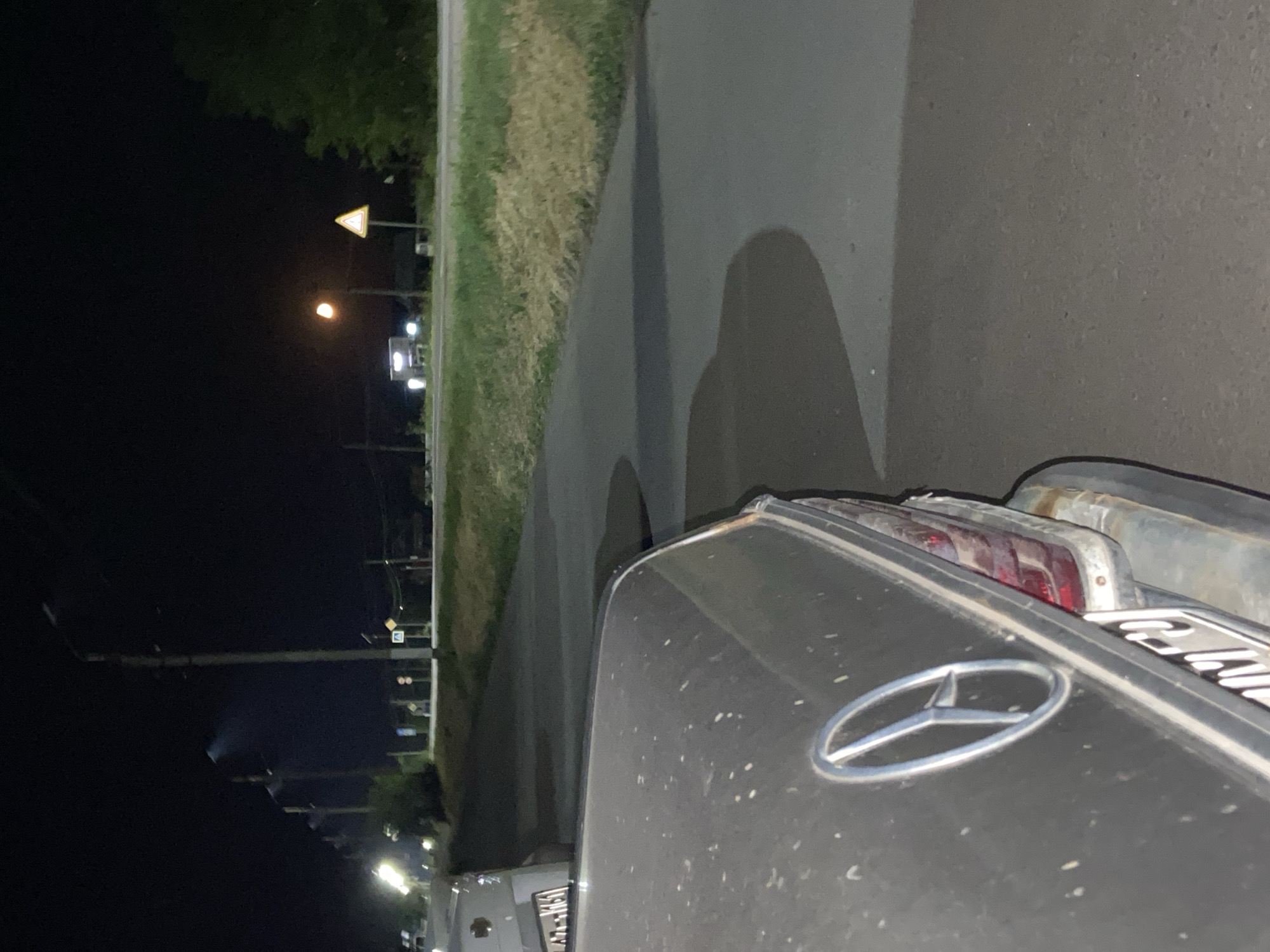 The image depicts a night scene on a road in Yegorlykskaya, Russia. In the foreground, the rear of a dark-colored Mercedes-Benz automobile is visible, showing its emblem and part of a license plate. The car is parked on a paved surface. Adjacent to the road is a grassy area with some dry, yellowed vegetation and scattered trees. Several streetlights are present along the road, illuminating the dark surroundings. In the background, there are signs and distant structures, including a triangular road sign and a distant building with lights. The overall impression is one of a quiet, possibly rural or suburban, roadside at night. There are no people or explicit actions captured in the scene.