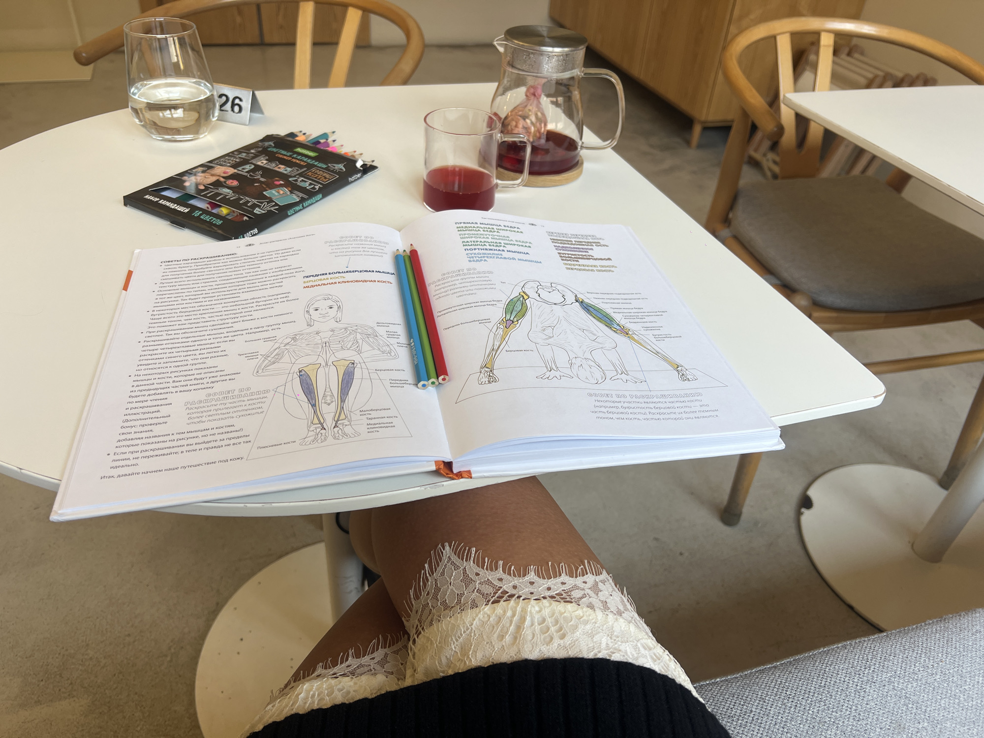 A person is sitting at a white round table, with a textbook about anatomy open in front of them. The book is titled "НАБОР КАРАНДАШЕЙ 16 ЦВЕТОВ" and contains diagrams of muscles and bones. Three colored pencils (green, blue, and red) lie on the pages. To the left of the book is a box of colored pencils. A glass of water and a glass of red liquid (possibly tea or juice) are on the table, along with a teapot. The person's legs are visible, with white lace trim on their clothing. The table is in a bright, possibly indoor, setting with wooden chairs around it. The location is unknown, and there is no indication that it is in Vladivostok, Russia.