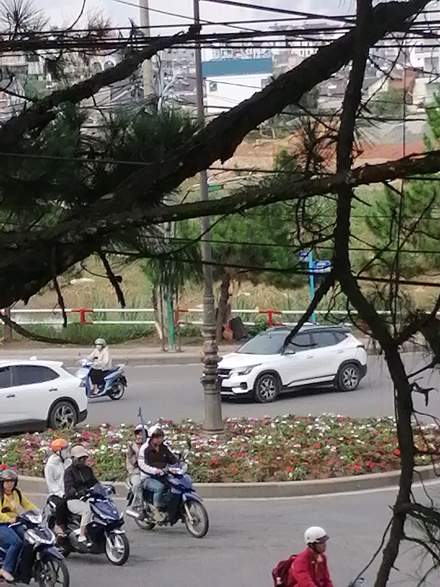 The image presents an elevated view of a street scene in Da Lat, Vietnam, characterized by an active flow of traffic. The foreground is partially obscured by dark, gnarled tree branches and pine needles, framing the urban landscape below. The sky appears overcast, indicating daytime conditions with soft, diffused light.
The central feature is a paved road with a well-maintained median strip, richly planted with red and white flowers. Numerous motorbikes dominate the traffic, ridden by individuals wearing helmets and often jackets, consistent with local commuting practices. In the upper mid-ground, a person on a light blue scooter, dressed in a light jacket and helmet, rides alongside a white Kia Seltos SUV, distinguishable by its modern design. A white sedan is partially visible on the left side of the road. Closer to the viewer, several other motorbikes are present: a rider in a red jacket and white helmet with a red backpack is in the bottom right, while another in a beige jacket and light helmet rides a dark blue scooter in the mid-left. Further right, two individuals on a dark blue motorbike, both wearing helmets, navigate the road.
A utility pole stands near the center of the road, and a blue street sign is faintly visible in the background, although its text is unreadable. Beyond the immediate road and its floral median, distant buildings and green hillsides under a cloudy sky complete the panorama, reflecting the typical scenery of Da Lat. The overall scene depicts the regular activity of a Vietnamese city, with a mix of vehicular traffic and natural elements.
