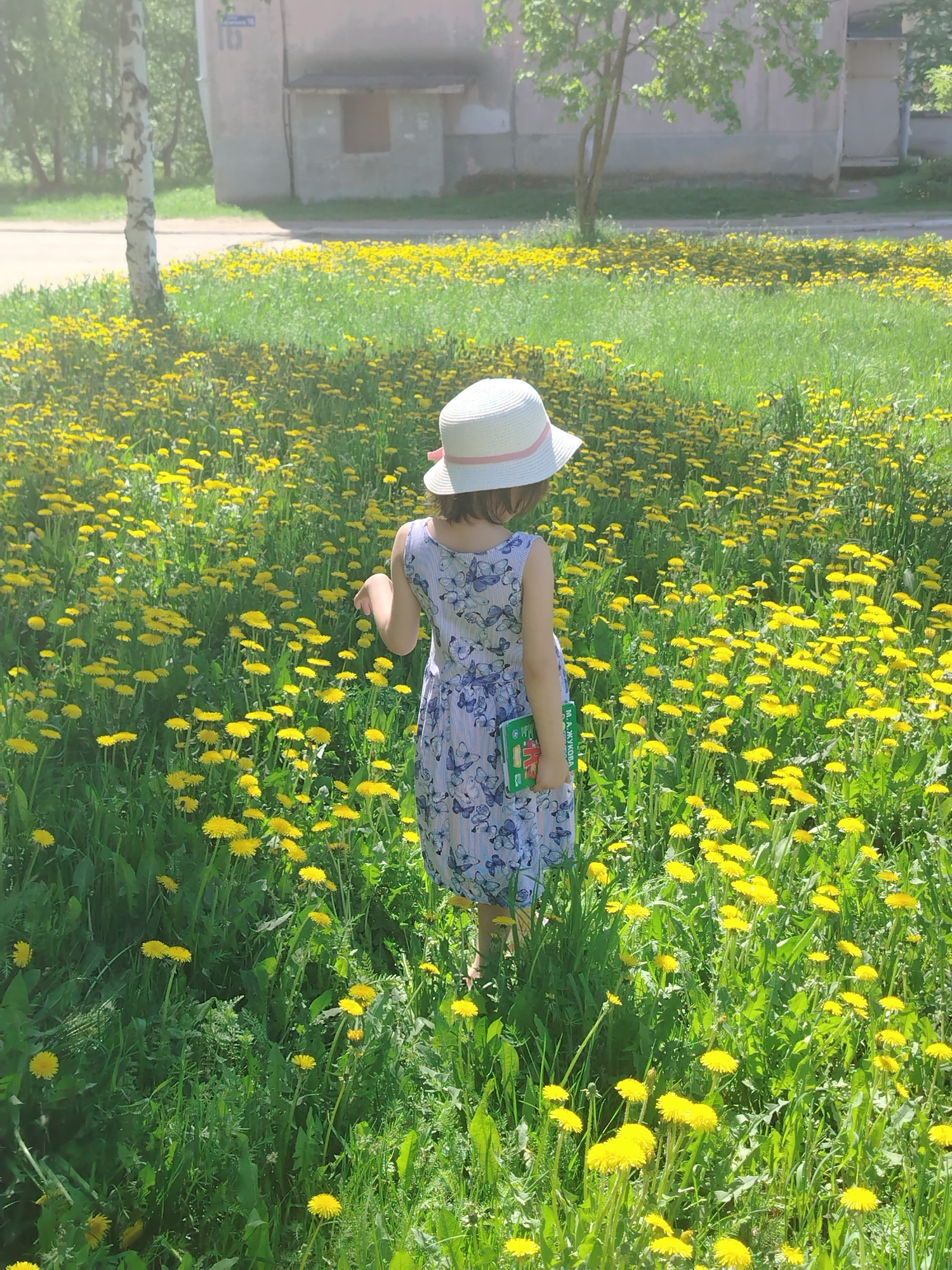 A young child stands in a field of yellow dandelions on a sunny day. She wears a white hat with a pink ribbon, a sleeveless dress with a blue butterfly pattern, and holds a green book with Russian text. The grass is green and lush, interspersed with numerous yellow dandelions. In the background, there is a light-colored building and a birch tree. The location is Noviy, Russia, inferred from the text on the book.