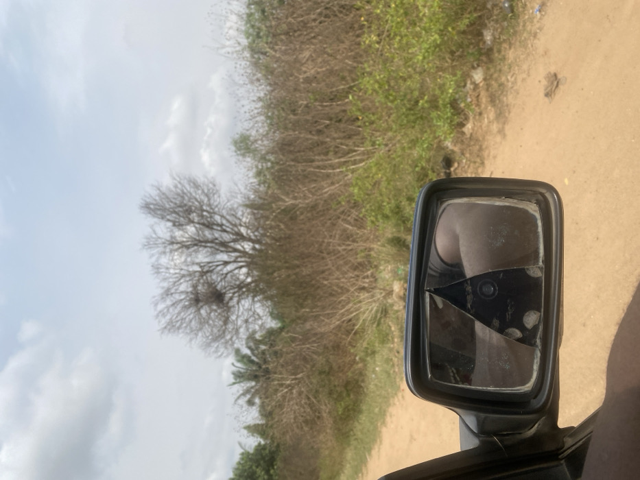 The image depicts a roadside environment in Sasaro, Nigeria, viewed from inside a vehicle. In the foreground, a black, rectangular side mirror of the vehicle is prominent, displaying a large crack across its glass surface, with a triangular piece of the mirror missing from the center, revealing the black plastic housing underneath. Reflections in the remaining mirror fragments show indistinct shapes, consistent with a limb and the interior of the vehicle.
The vehicle is situated on an unpaved, reddish-brown dirt road visible in the lower right and extending into the background. To the right of the mirror and alongside the road, the immediate environment consists of dry, sparse vegetation, including light green bushes and taller, straw-colored dried grass and brush. In the midground, a deciduous tree with bare branches stands, featuring a large, spherical nest-like structure within its upper canopy. To the far left, behind this tree, are other trees with green foliage, including at least one palm tree. The sky above is overcast with light gray and white clouds. No individuals or specific human actions are explicitly depicted.