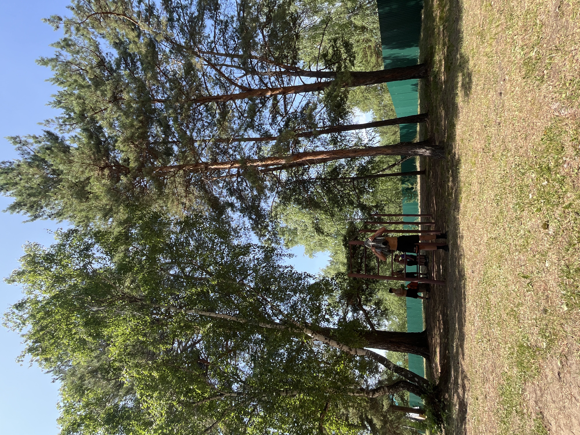 In Krasnoturansk, Russia, a group of people are gathered near a set of outdoor exercise equipment under a canopy of trees. Tall birch and pine trees dominate the scene, casting dappled shadows on the dry, grassy ground. A tall, green corrugated metal fence runs along the background, separating the area from what appears to be a forested landscape.
The exercise equipment, constructed of metal poles, is partially obscured by foliage. Several individuals are visible. One young man stands in the foreground, facing away from the camera, wearing black shorts and no shirt. He is holding a dark backpack over his head. In the mid-ground, several other people are positioned around the exercise equipment, their activities unclear. The sky above is a clear, bright blue. The overall impression is a casual, outdoor recreational setting on a sunny day.