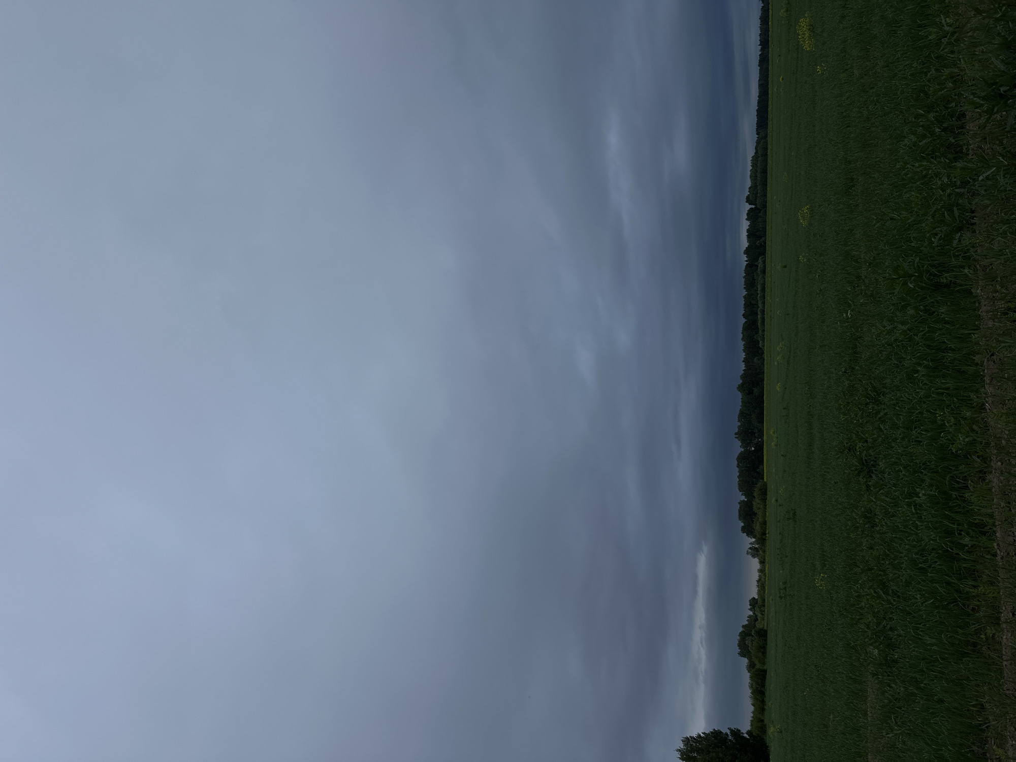 The image shows a wide, flat field of green grass stretching towards a line of dark green trees in the distance. Above the field, the sky is filled with heavy, dark gray clouds, suggesting an overcast or approaching storm. There is a lone tree on the left side of the frame, silhouetted against the sky. The lighting is dim, creating a somber mood. The location is identified as Shul'dikha, Russia. There are no people or visible actions taking place.