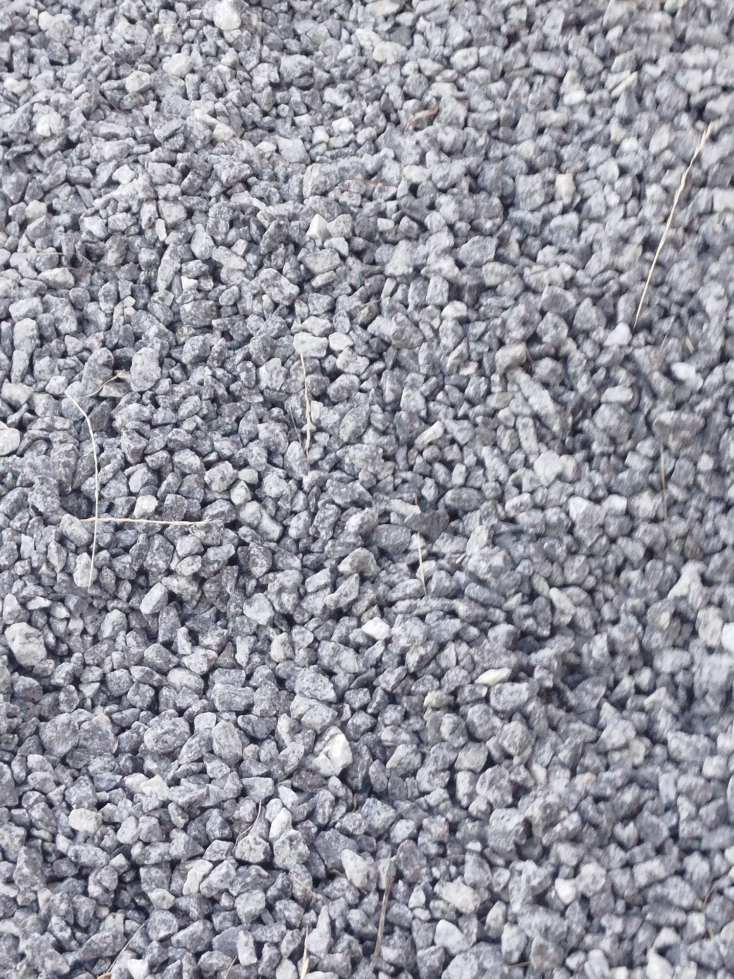 The image displays a close-up, top-down view of a surface covered in small, irregularly shaped gray stones, commonly referred to as gravel. The stones vary in size, with most being between 1 to 3 centimeters in diameter. Some lighter-colored stones are interspersed with the predominantly darker gray ones. A few thin, dried grass stalks are visible lying on top of the gravel. The image appears to be taken outdoors, with natural lighting conditions. There is no discernible information to place this scene in the city of Holendry, Ukraine. The scene is devoid of people, animals, or any discernible structures. The focus is entirely on the texture and composition of the gravel.