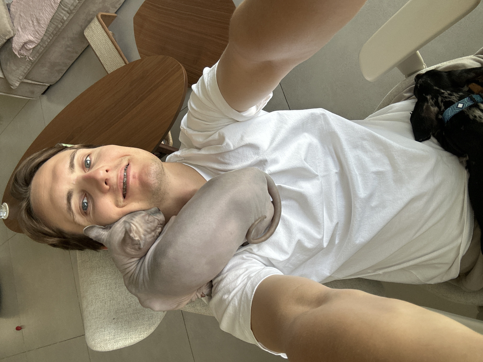 A selfie shows a man in a white t-shirt lying down, holding a grey sphynx cat near his face. His face is turned slightly towards the camera with a smile, and he has braces on his teeth. Next to him a dog wearing a blue harness is lying on the chair. The location appears to be indoors, with a wooden table and furniture visible in the background. It is difficult to confirm if the location is Tel-Aviv, Israel without further evidence.