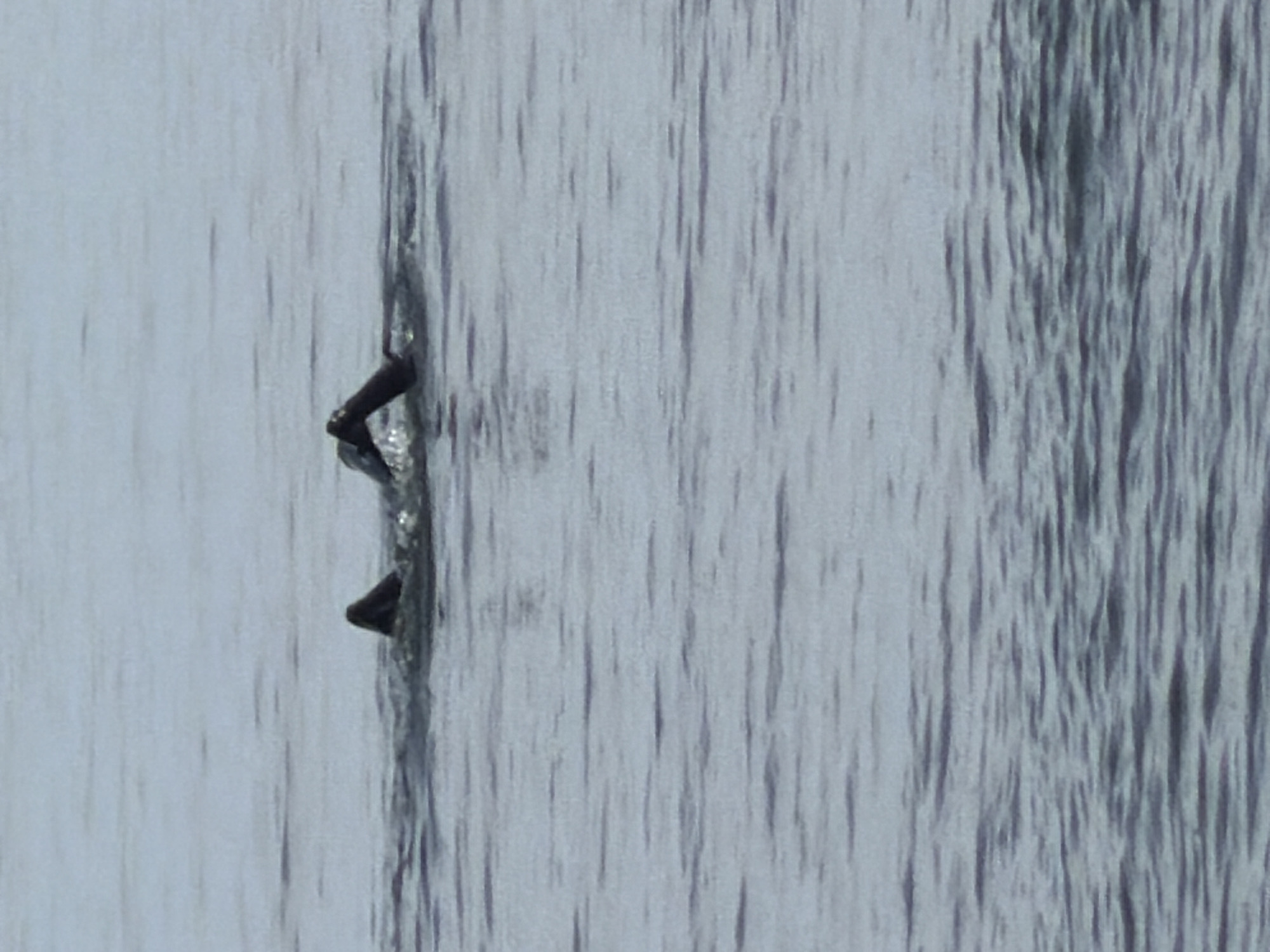 In the calm, rippling waters of El Velerín, Spain, a person is engaged in swimming. The subject's torso and head are submerged, with only their arms visible above the surface, indicating an active swimming stroke. The water is a muted grey-blue, reflecting the overcast sky. The overall scene is one of solitary athletic activity in a serene natural environment.