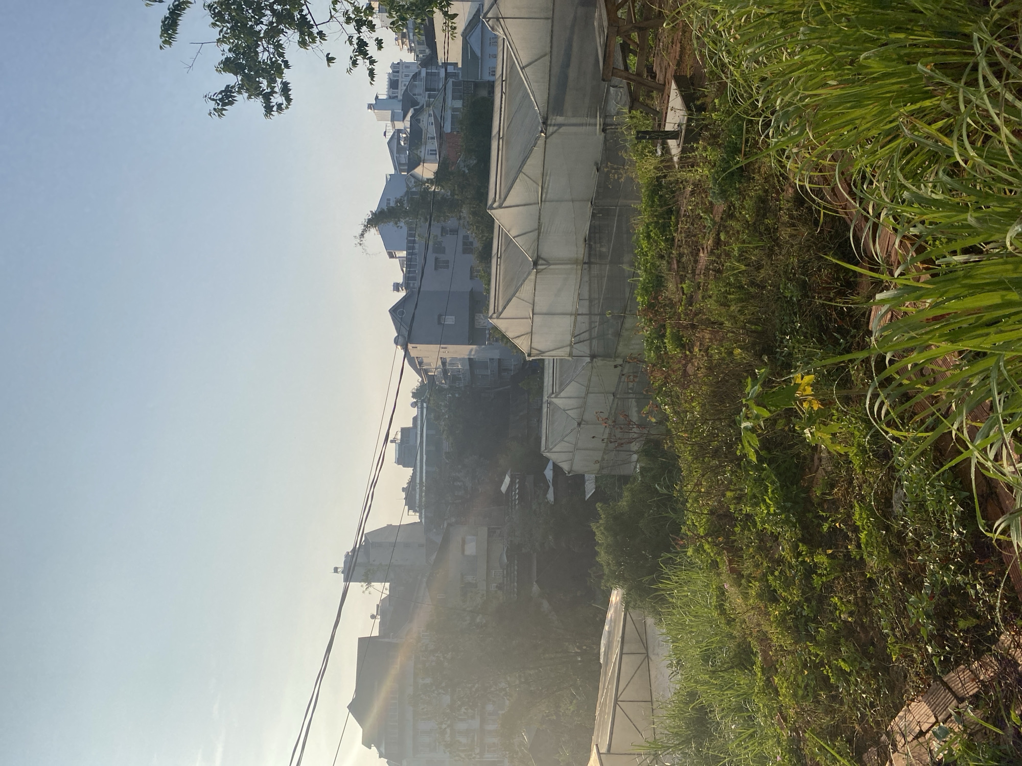 The image shows a landscape in Lâm Viên - Đà Lạt, Vietnam. Multiple buildings and greenhouses are scattered along a gentle slope. The foreground is dominated by dense greenery, including grass and other vegetation. In the background, buildings with varying heights and architectural styles are visible under a hazy sky. Overhead power lines cut across the sky, adding a visual element to the scene.