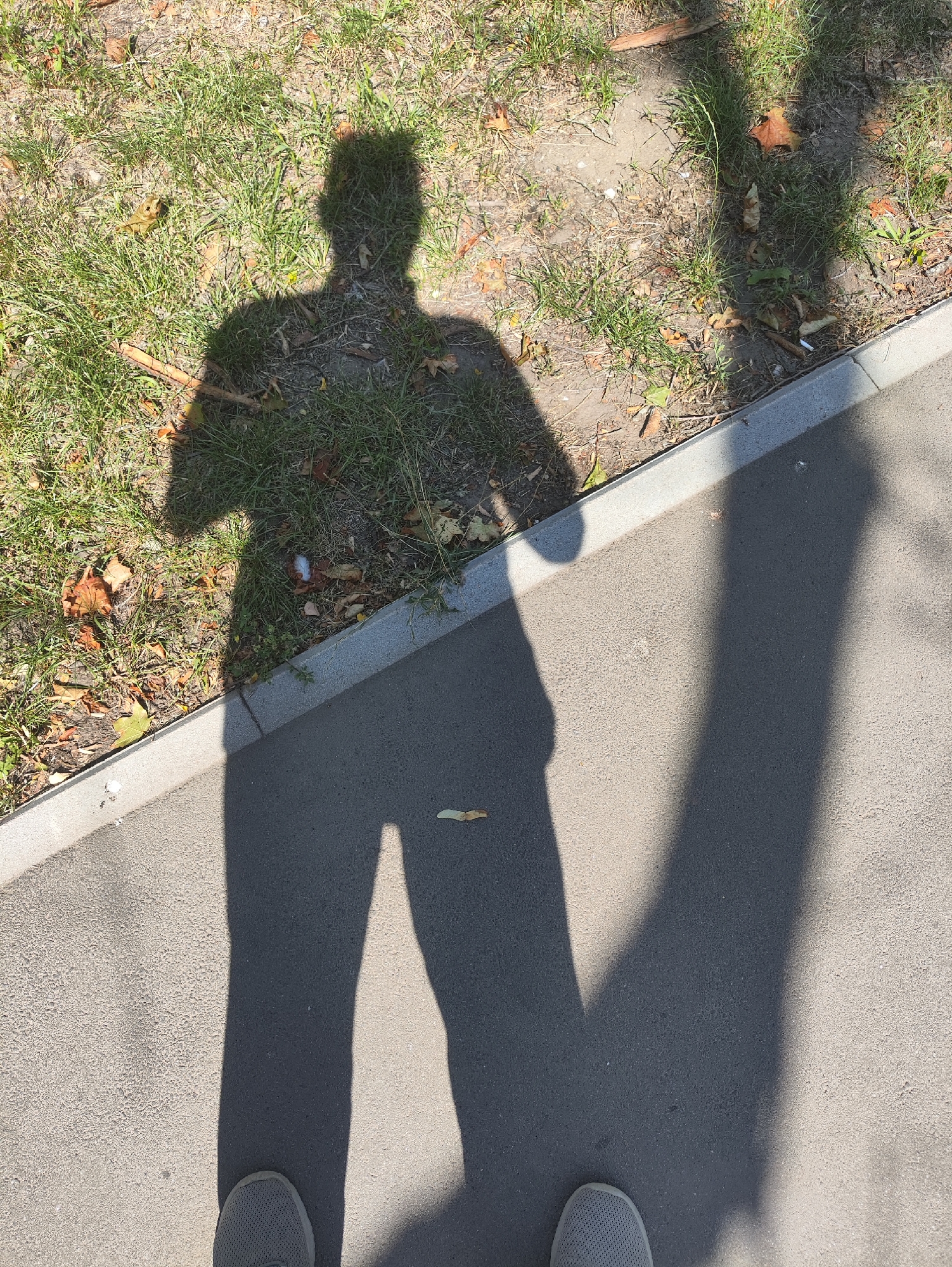 This is a high-angle, outdoor, full-body shot of a person's shadow projected onto a sidewalk and grassy area. The shadow, cast by the sun from the right, depicts a person standing, with their head, torso, and legs clearly visible. The person is wearing pants and shoes. The background consists of a sidewalk with a curb separating it from a patch of grass. The grass is dry and somewhat sparse, with some scattered leaves and debris, suggesting an autumn or dry season. The lighting indicates a bright, sunny day. There is no discernible location information that can be determined from the visual content of the image itself.