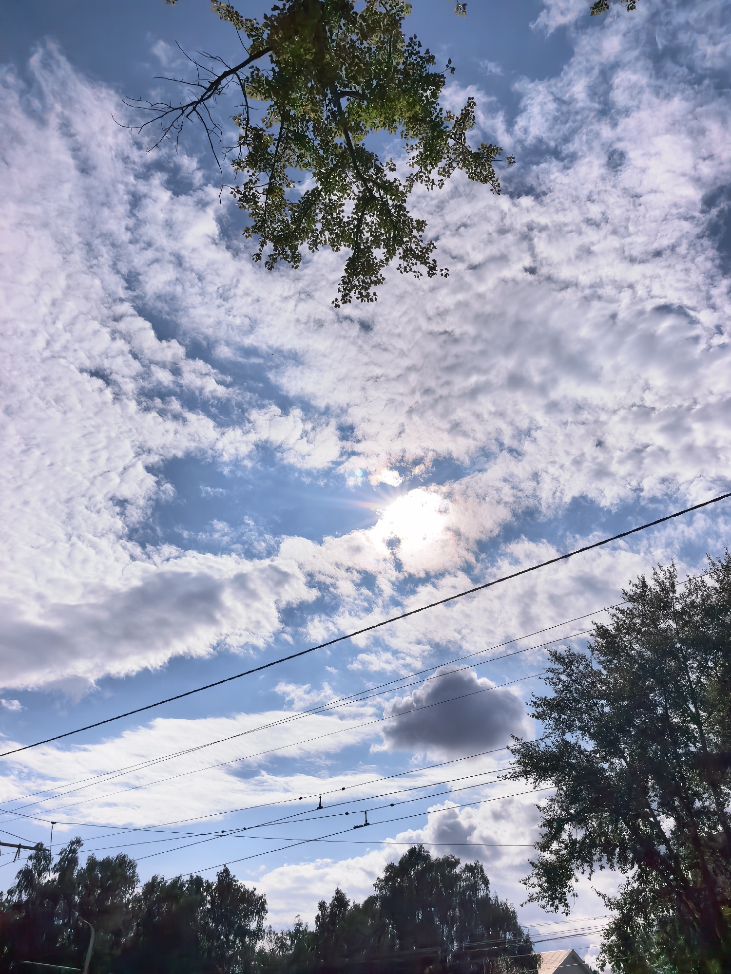 The image captures a view of the sky with scattered clouds, a branch with green leaves from a tree extending from the top, and utility wires crisscrossing the frame. The sun is visible, partially obscured by clouds, casting a bright glow. The lower portion of the image shows the tops of trees and hints of buildings, suggesting an urban or suburban environment. The scene is likely a daytime shot, given the sunlight. The image is taken from a ground-level perspective, looking upwards. The sky is blue with varying shades of white and gray clouds. There are no people or discernable actions depicted. The location is Sterlitamak, Russia, though no specific landmarks are identifiable from the visual cues alone.
