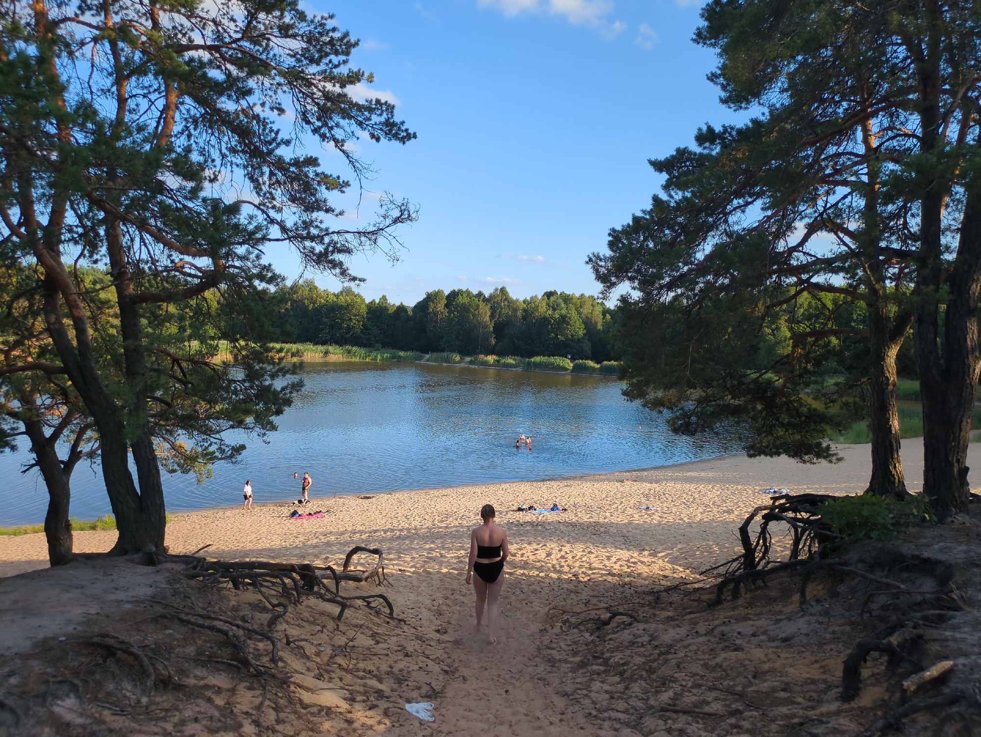The image captures a serene beach scene along a body of water, likely a lake or river, bordered by lush green trees and a clear blue sky with scattered clouds. The foreground features a sandy slope with exposed tree roots, leading down to the beach. A woman in a black swimsuit is walking down the slope towards the water. On the sandy beach, several other individuals are present, some relaxing on towels, while others are in the water. The water appears calm, with a few people swimming or wading. The overall atmosphere suggests a peaceful, recreational setting during daytime, possibly in the city of Zelów, Poland, given its known lake areas.