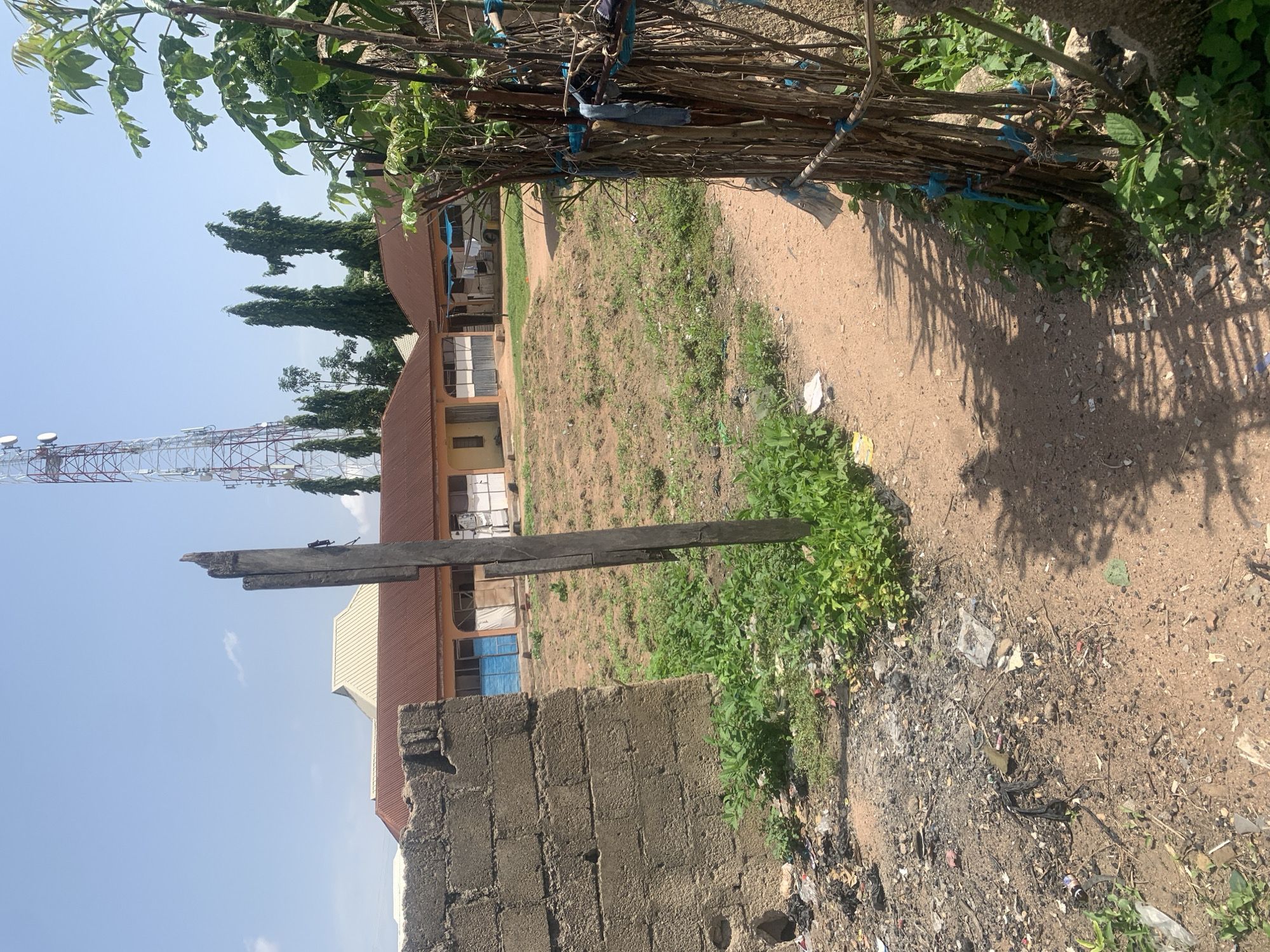 The media file depicts an outdoor scene in Jalingo, Nigeria. In the foreground, a pile of dried branches tied with blue string is visible, with green foliage growing around it. A rough, weathered wooden beam is propped horizontally, casting a shadow on the sandy, dry ground. Behind this, a low, cinder block wall is partially visible.
Further in the background, several buildings with orange-brown roofs and windows can be seen. Some of the windows are open, revealing glimpses of what appears to be laundry hanging inside. A tall telecommunications tower stands to the left of the buildings, its red and white structure contrasting with the blue sky. The sky is clear with a few wispy clouds. The ground is a mix of dry earth, scattered debris, and patches of green grass and weeds. The overall impression is one of a casual, somewhat unkempt outdoor environment.
The time of day appears to be daytime, given the bright sunlight and shadows. The weather seems clear and likely warm, consistent with a tropical or sub-tropical climate. There are no people visible in the scene, and no discernible text.