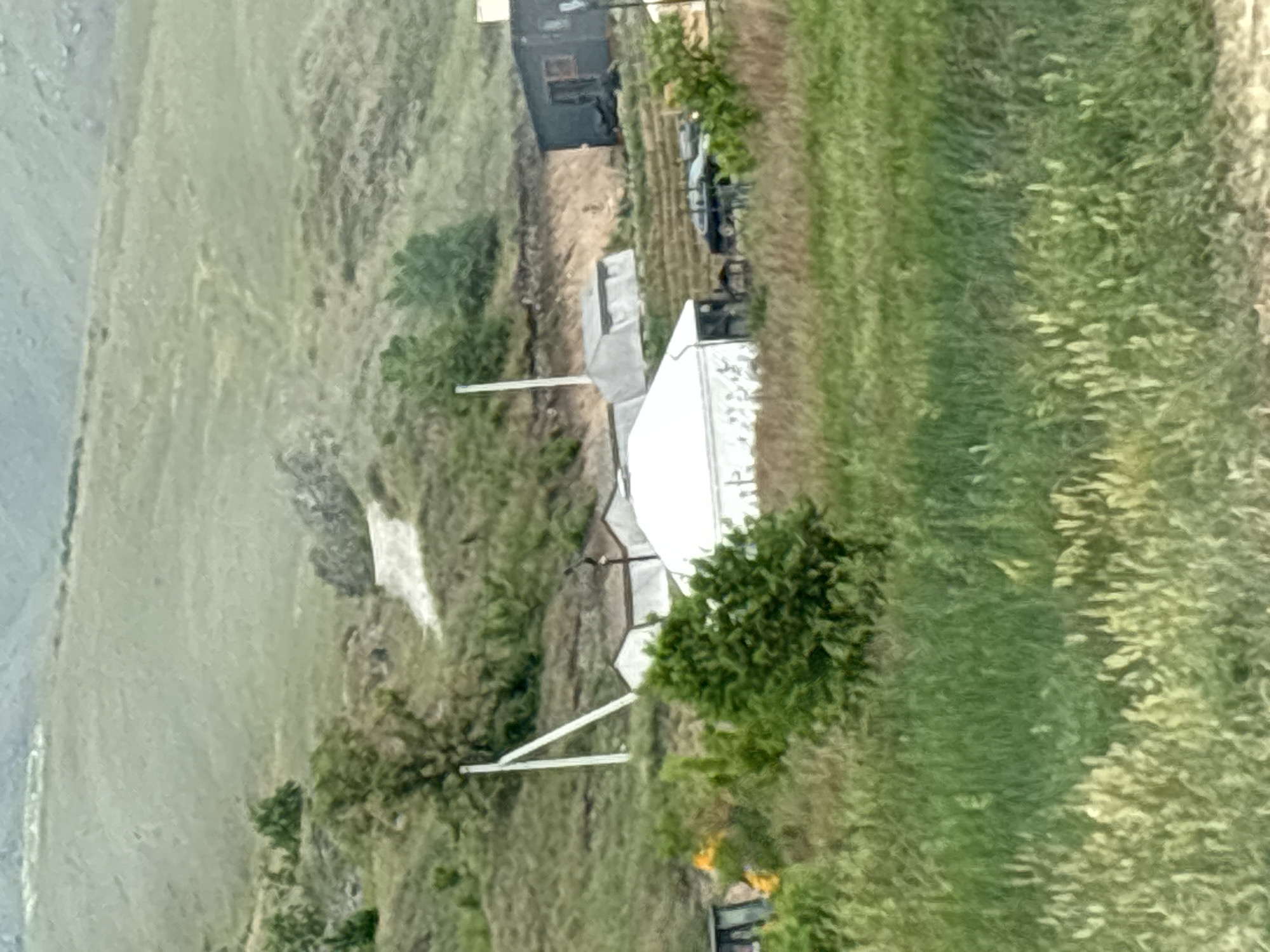 The image captures a rural or semi-rural scene, likely in or near Ust-Abakan, Russia, characterized by rolling grassy hills in the background. In the mid-ground, there are several temporary structures. A prominent white tent, possibly a yurt or a larger event tent, is situated in the center left of the frame, supported by white poles. To its right, several other white or light-colored structures are visible, appearing to be temporary shelters or stalls. A dark building with a window is located further to the right, on a higher embankment. A black car is parked in front of it. In the foreground, tall green grass and some flowering plants create a natural, somewhat overgrown landscape. A yellow piece of machinery, possibly a tractor or loader, is partially visible on the far left. The overall impression is one of a functional, possibly temporary settlement or event space set against a natural, hilly backdrop. The lighting suggests an overcast day.