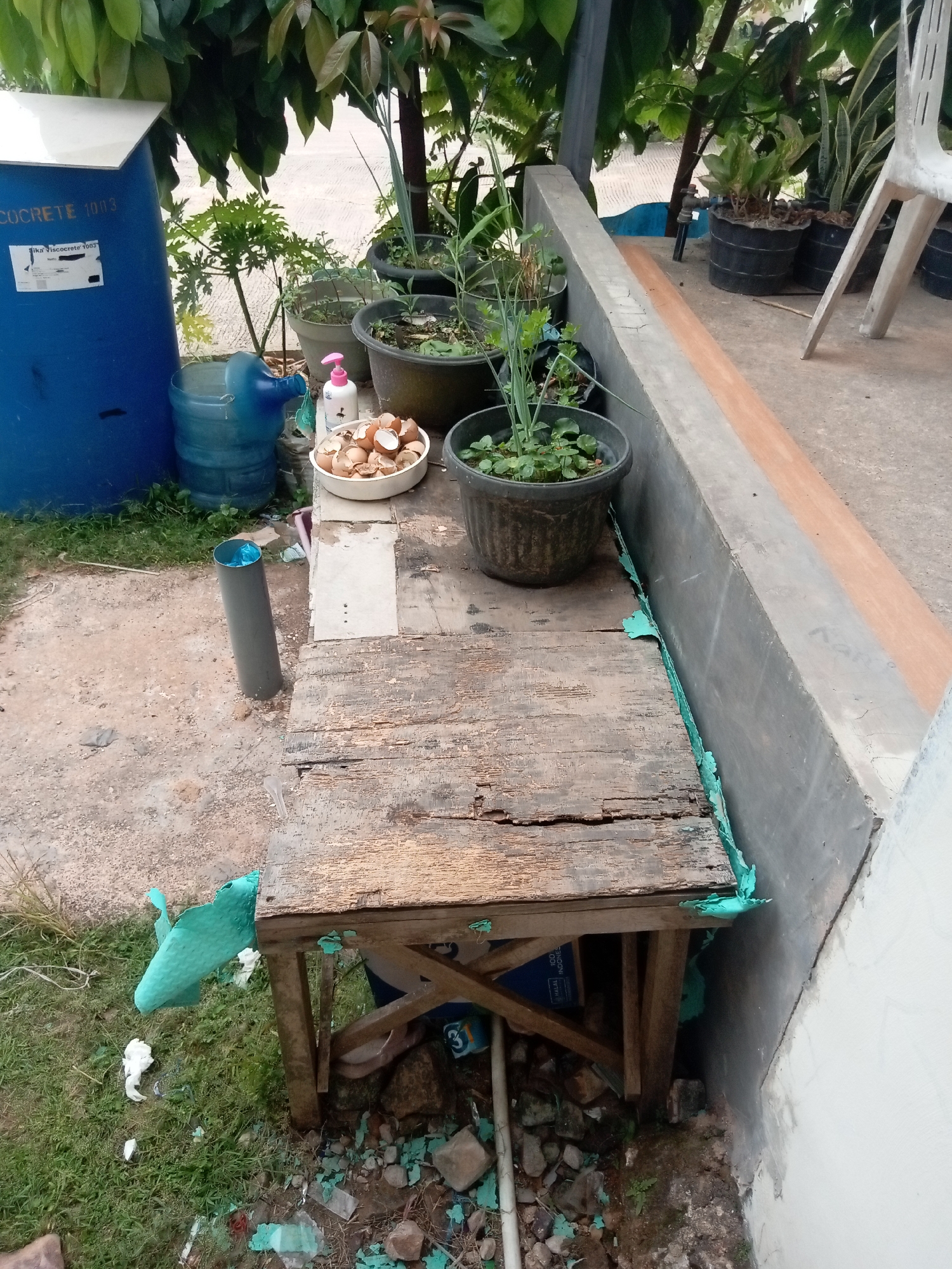 The image depicts an outdoor scene, likely a backyard or patio area, characterized by a mixture of plants, storage containers, and makeshift furniture. A large blue barrel, labeled "COCRETE 1013," is prominently positioned on the left side of the frame, next to a clear water jug. Adjacent to these are several potted plants, some with visible foliage and others in dark-colored pots. A white bowl filled with eggshells sits on a wooden surface.
In the foreground, a rustic wooden table with visible wear and tear is set up. Green material, possibly foam padding or insulation, is attached to the underside of the table and along the edge of a concrete structure behind it. The ground consists of a mix of dirt, gravel, and patches of grass. A grey pipe stands vertically near the center-left of the image. Further back, more potted plants are visible, and a white plastic chair is partially seen on the right. The overall impression is one of a functional, perhaps somewhat unkempt, outdoor space. The presence of the concrete structure and the style of the plants suggest a location in Batam, Indonesia, given the tropical climate and common landscaping practices in the region.