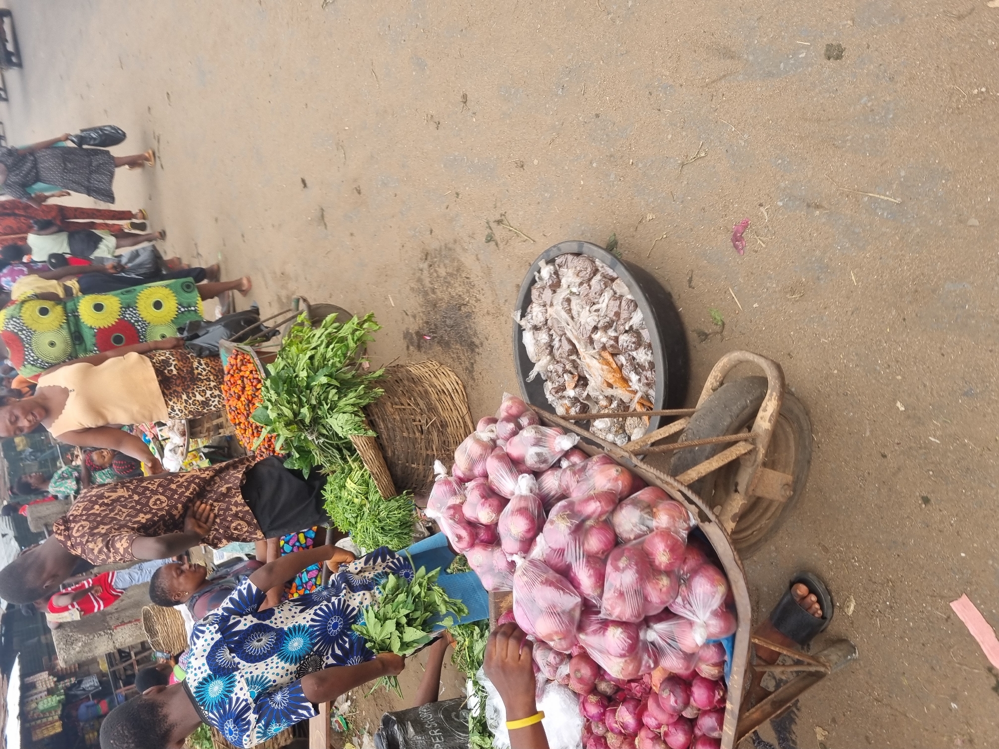 This image depicts a vibrant, bustling outdoor market scene in Fegge, Nigeria, viewed from a slightly elevated perspective. The ground is unpaved, consisting of dirt and gravel, suggesting an open-air market environment.
Numerous people, predominantly women, are present, engaged in various market activities, likely buying and selling produce. Many are dressed in colorful, patterned fabrics typical of West African attire, including dresses with bright floral and geometric designs.
In the foreground and midground, a significant amount of fresh produce is displayed. A large quantity of red onions is piled high, some loose and many individually packaged in clear plastic bags, resting in a rustic, possibly metal, pushcart or wheelbarrow. Adjacent to the onions are ample bundles of fresh, leafy green vegetables, with some also placed in a woven basket. Further into the scene, a large black basin contains what appears to be dried food items, possibly cassava or yam, some of which are also in small plastic bags. Another small pile of reddish-orange produce, possibly peppers or tomatoes, is visible near a bundle of green vegetables.
The scene conveys a sense of everyday commerce during daylight hours. No specific time of day is discernible, and the weather appears mild with indirect sunlight. People's expressions are generally neutral, focused on their transactions. There is no clearly legible text visible within the frame.