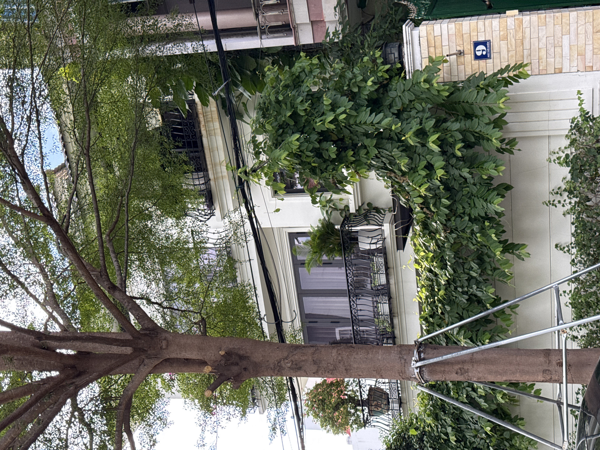 The image depicts the exterior of a multi-story residential building in Nha Trang, Vietnam, on a bright, overcast day. A large tree with a brown, sturdy trunk and a canopy of green leaves dominates the foreground, its lower branches supported by metal scaffolding. Vines and lush green foliage cascade down the front of the building, partially obscuring windows and balconies. The building itself is white with dark-framed windows and balconies with decorative black metal railings. Electrical wires are visible strung across the facade. A blue house number, "9," is affixed to a brick pillar on the right side of the image, accompanied by Vietnamese text below. The overall scene is one of a well-maintained urban property with a strong emphasis on greenery.