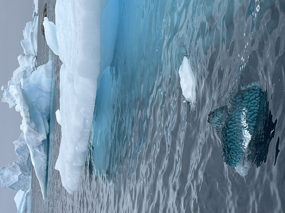 The image depicts a frigid marine environment, dominated by a large, irregular ice formation on the left side, with dark, rippling water occupying the right half of the frame. The substantial ice mass, likely part of an iceberg or glacier, is predominantly white but features a striking, vivid blue section beneath the waterline, indicative of dense, ancient ice. Smaller, white fragments of ice float in the water near the main formation.
In the mid-right portion of the frame, a marine animal, identified as a seal, is partially submerged in the water. Its textured back, appearing scaly or like wet fur, is visible above the surface, reflecting the dappled light. Its head, with a visible eye and snout, is just above the waterline, positioned to the upper-right of its body. The seal appears to be swimming or resting calmly in the cold water.
The water itself is a dark blue-grey, disturbed by small ripples and faint surface foam. The lighting is soft and diffused, suggesting an overcast or cloudy day, typical of polar regions. The scene evokes a sense of vast wilderness and natural beauty in a cold climate. There is no visible text within the image.