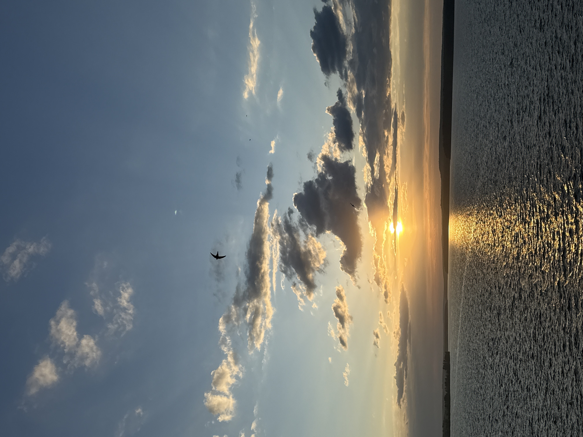The image shows a sunset over a body of water, likely a lake or river, in Votkinsk, Russia. The sun is partially obscured by clouds, creating a golden glow. Light reflects off the surface of the water. The sky is blue with scattered clouds. Several birds are flying. The land is seen in the background.