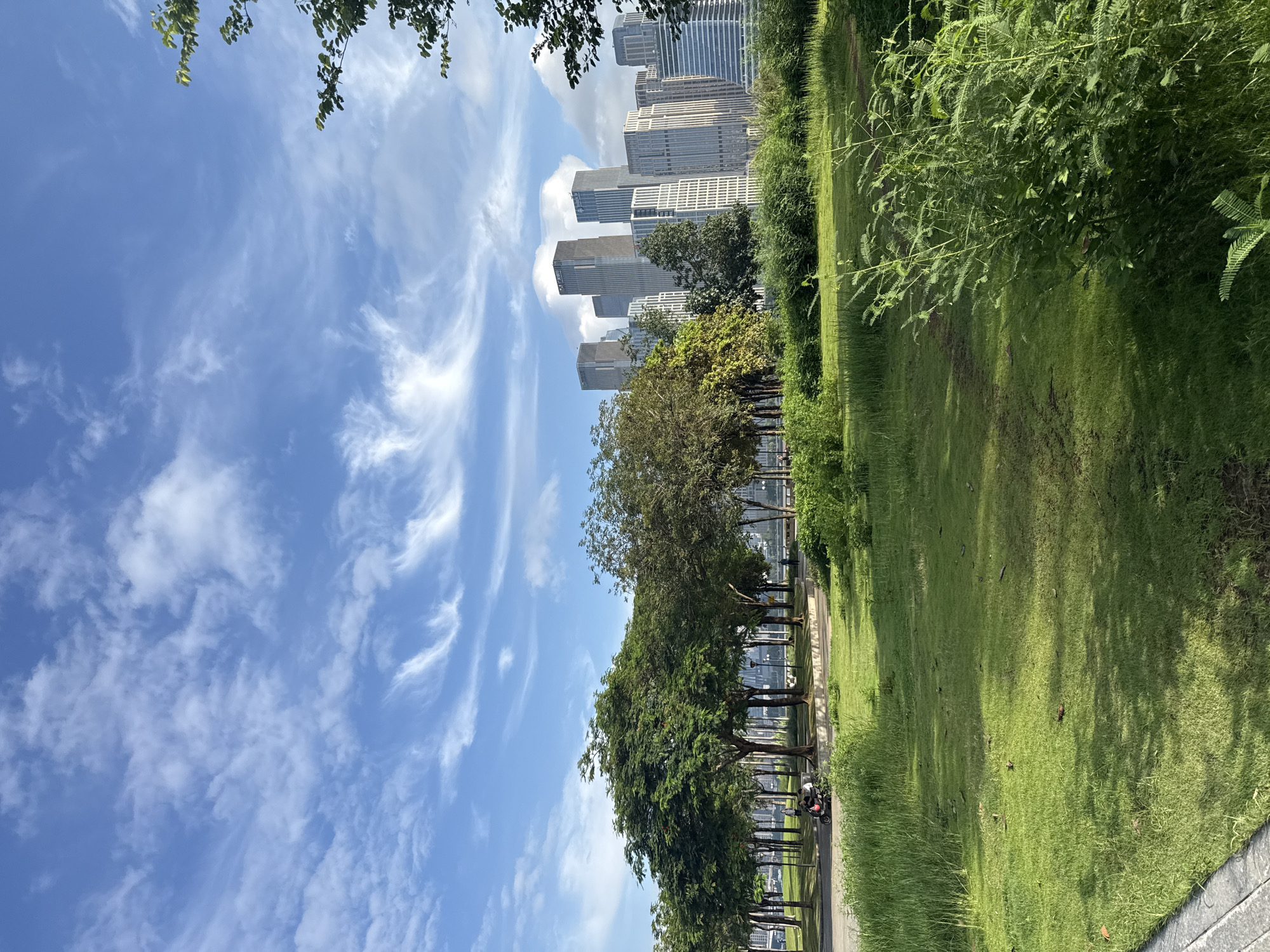 The image depicts a cityscape with a focus on a park area in the foreground and skyscrapers in the background. The sky is bright blue with scattered wispy white clouds. In the park, there is a well-maintained green lawn with scattered patches of taller grass and bushes. Several trees with lush green foliage are planted in rows, casting shadows on the grass. A paved pathway is visible on the left side, with a motorcycle carrying two people riding on it. Further back, there are more trees and buildings, leading to a cluster of modern skyscrapers that dominate the horizon. The architecture of the skyscrapers suggests a contemporary urban environment. The overall scene conveys a sense of urban development harmonizing with green spaces. This scene is located in the Tianhe District, China.