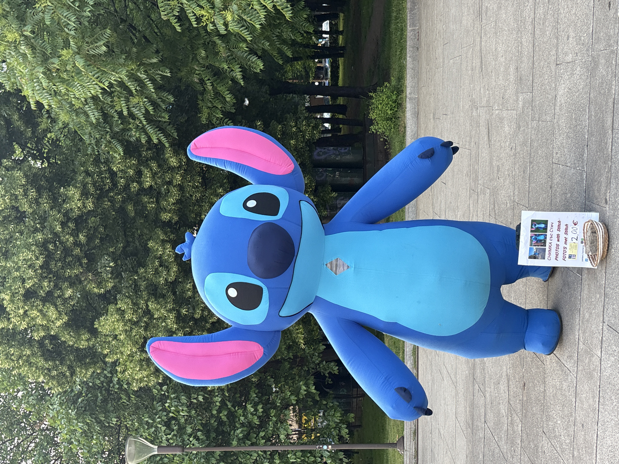 A large inflatable blue and light-blue character, resembling Disney's Stitch, stands upright on a paved surface. The character has large pink ears, dark eyes, and a wide smile. Its four arms are spread out, and its short legs are planted firmly. The setting appears to be a public outdoor space, possibly a park or plaza in Sofia, Bulgaria, characterized by a grey paved ground and a lush green backdrop of trees and foliage. The natural lighting suggests it is daytime with clear weather.
To the right of the inflatable Stitch, a small white sign on a stand is visible. The sign indicates that photos can be taken with the character for a fee. Visible text on the sign includes:
- "СНИМКА със Стинг" (PHOTO with Sting - likely a typo for Stitch)
- "PHOTOS with Stitch"
- "FOTOS met Stitch" (Dutch/Afrikaans for "Photos with Stitch")
- "2,00 €" (indicating a price of 2 Euros)
An image on the sign shows people posing with the inflatable character, confirming its purpose as a photo opportunity. Next to the sign, a woven basket or container is on the ground, possibly for collecting payment or tips. A street lamp is partially visible at the bottom of the frame. There are no people visible in the image itself. The overall impression is a cheerful, family-friendly attraction in a pleasant outdoor environment.
