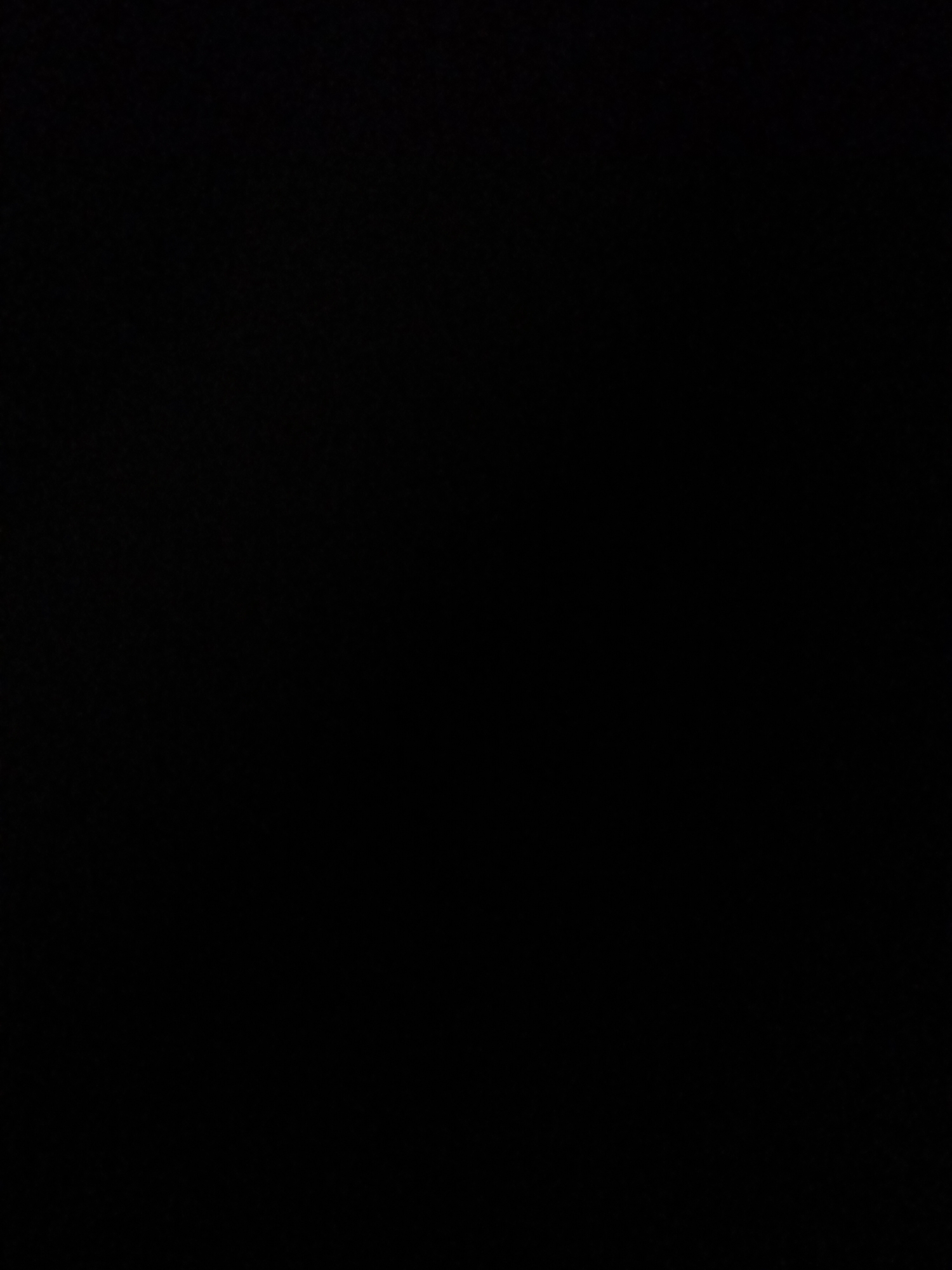 The image provided is entirely black and shows no discernible content, rendering it impossible to describe any scene, location, or subjects.