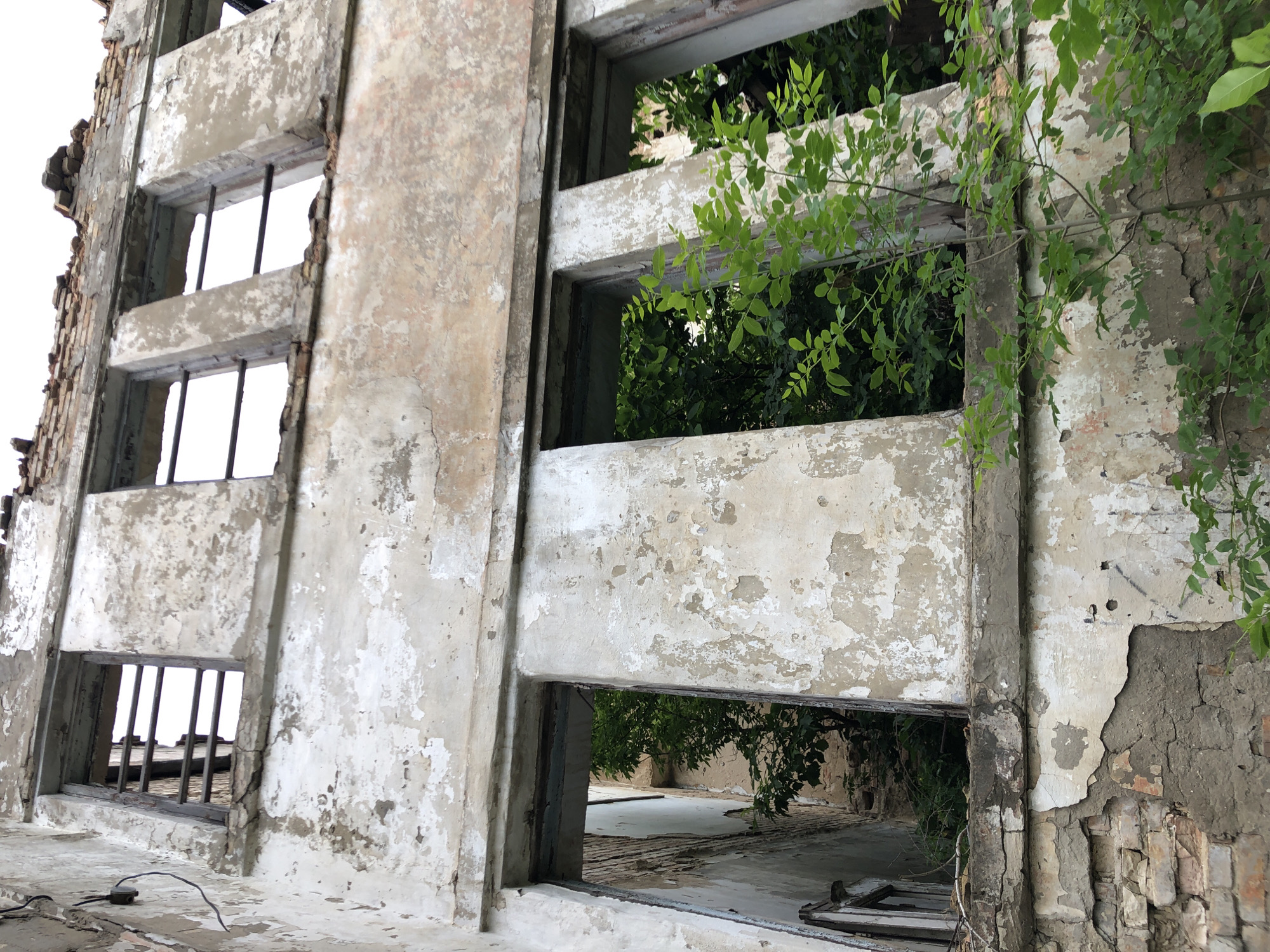 This is a low-angle, ground-level outdoor, close-up shot of a dilapidated, abandoned building. The building's exterior walls are heavily weathered, with peeling paint and crumbling plaster revealing exposed brick underneath. Multiple window openings are visible, some with bars and others completely open, revealing dense green foliage and trees growing within and around the structure. The overall impression is one of decay and nature reclaiming a man-made structure. The location is unknown.