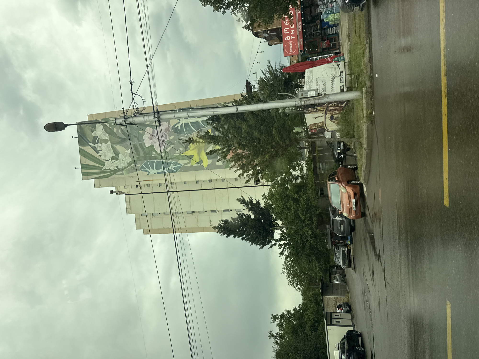 In the city of Unknown, Unknown, a street view captures a tall, light-colored apartment building adorned with a large, colorful mural depicting floral motifs and large green leaves. The mural covers a significant portion of the building's facade. In the foreground, a wet asphalt road reflects the overcast sky, suggesting recent rain. Several cars are parked in a lot adjacent to the road. A lamppost stands near the building, with numerous power lines crisscrossing the sky above. To the right, a red awning with text in an unfamiliar script is visible, alongside a small shop or market. Green trees and foliage are interspersed throughout the scene, softening the urban landscape. The overall atmosphere is subdued due to the cloudy weather.