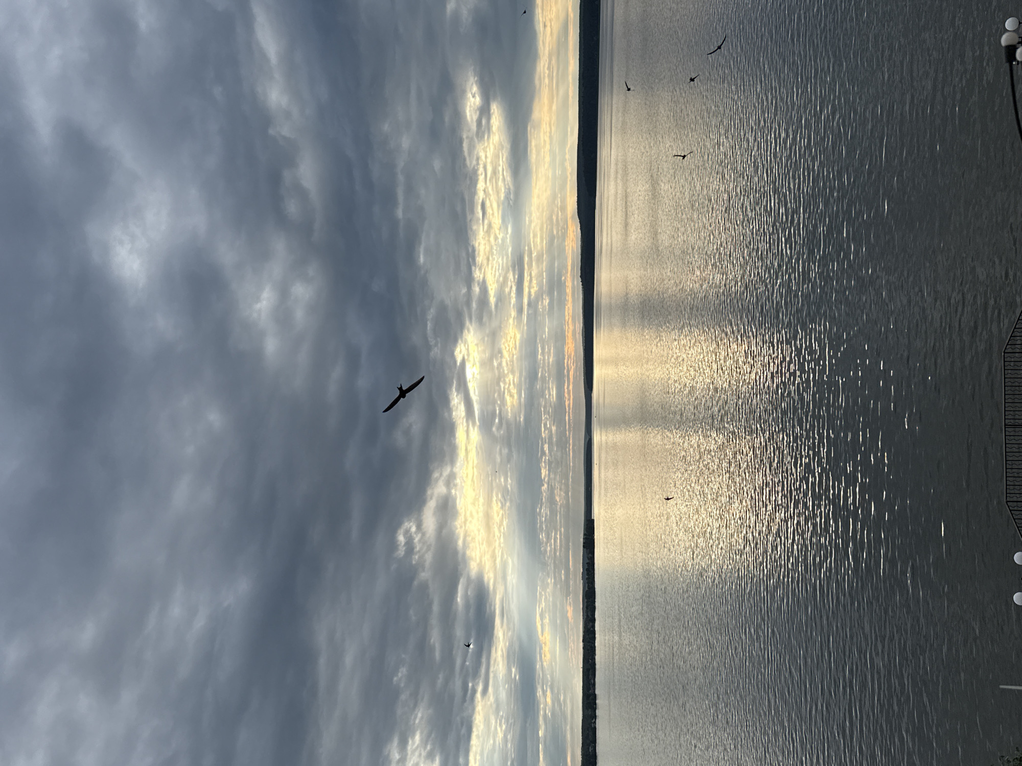 This media file depicts a wide shot of a body of water, likely a river or lake, under a dramatic sky. The image is oriented vertically, suggesting it may have been taken with the intention of being viewed in a portrait orientation or has been rotated. The water's surface is rippled, catching the light in a way that creates shimmering reflections. Along the right edge of the frame, a dark silhouette suggests a fence or railing, and at the very top right, a street lamp with multiple globes is partially visible, indicating a developed area or walkway.
The sky is filled with a mix of dark, heavy clouds and patches of bright, sunlit sky. The contrast between the dark and light areas suggests either dawn or dusk, with the sun low on the horizon. Rays of sunlight pierce through the clouds, creating dramatic shafts of light that fall across the water. Several birds are captured in flight, silhouetted against the sky and water, adding a sense of movement and life to the scene.
The overall mood is somewhat somber due to the heavy clouds, but the presence of sunlight breaking through and the active birds offer a sense of hope or transition. The location context of Votkinsk, Russia, suggests a temperate climate where such atmospheric conditions are common. No text is visible in the image.