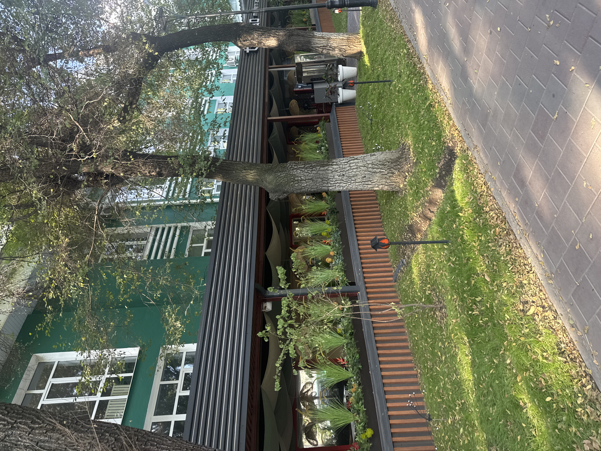 The image captures an exterior view of a building with a green facade in Almaty, Kazakhstan. The building has multiple windows with white frames. In front of the building, there is a covered outdoor seating area for a restaurant or cafe, featuring a black slatted roof and light-colored canopy awnings. A planter box filled with greenery and decorative plants runs along the front of this area. To the right of the planter box, there is a wooden fence with vertical planks. The ground in front of the building is covered with green grass and fallen yellow leaves, suggesting it is autumn. A paved walkway runs alongside the grassy area. Two large trees with textured bark are prominent in the foreground, their branches extending over the scene. Several small orange lantern-style lights are placed in the grass, and a few white planters are visible near the right side of the image. A street lamp is also visible on the far right. The sun is shining, casting shadows and highlighting the textures of the scene.