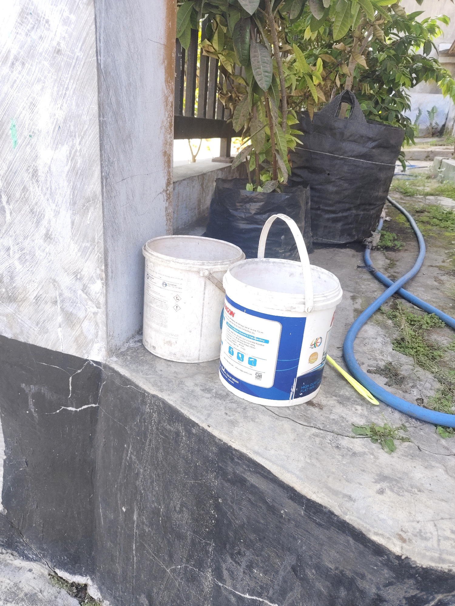 The image depicts an outdoor scene, likely a courtyard or garden area, situated in Bangsalsari, Indonesia. Two white plastic buckets are prominently placed on a concrete ledge. The bucket on the right is a paint bucket, identifiable by its blue and white labeling which includes text and various icons. It has a white plastic handle. The bucket on the left is a plain white bucket, also appearing to be made of plastic, with a metal handle. Behind the buckets, two large black woven bags are visible, partially obscured by the leaves of a plant. A blue hose lies coiled on the ground, with a section of yellow material positioned near the paint bucket. The background shows vegetation, a wooden fence, and glimpses of a building structure. The ground surface is concrete with patches of grass and dirt. The overall impression is of a functional outdoor space, potentially used for gardening or construction work.