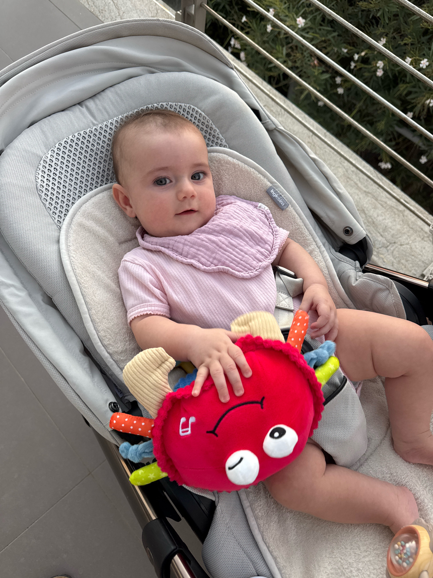 An infant is seated in a gray Inglesina stroller outdoors, with a pink bib and onesie. The infant holds a red plush toy. The stroller is on a tiled patio, with a railing and greenery visible in the background. The location is Capaci, Italy.